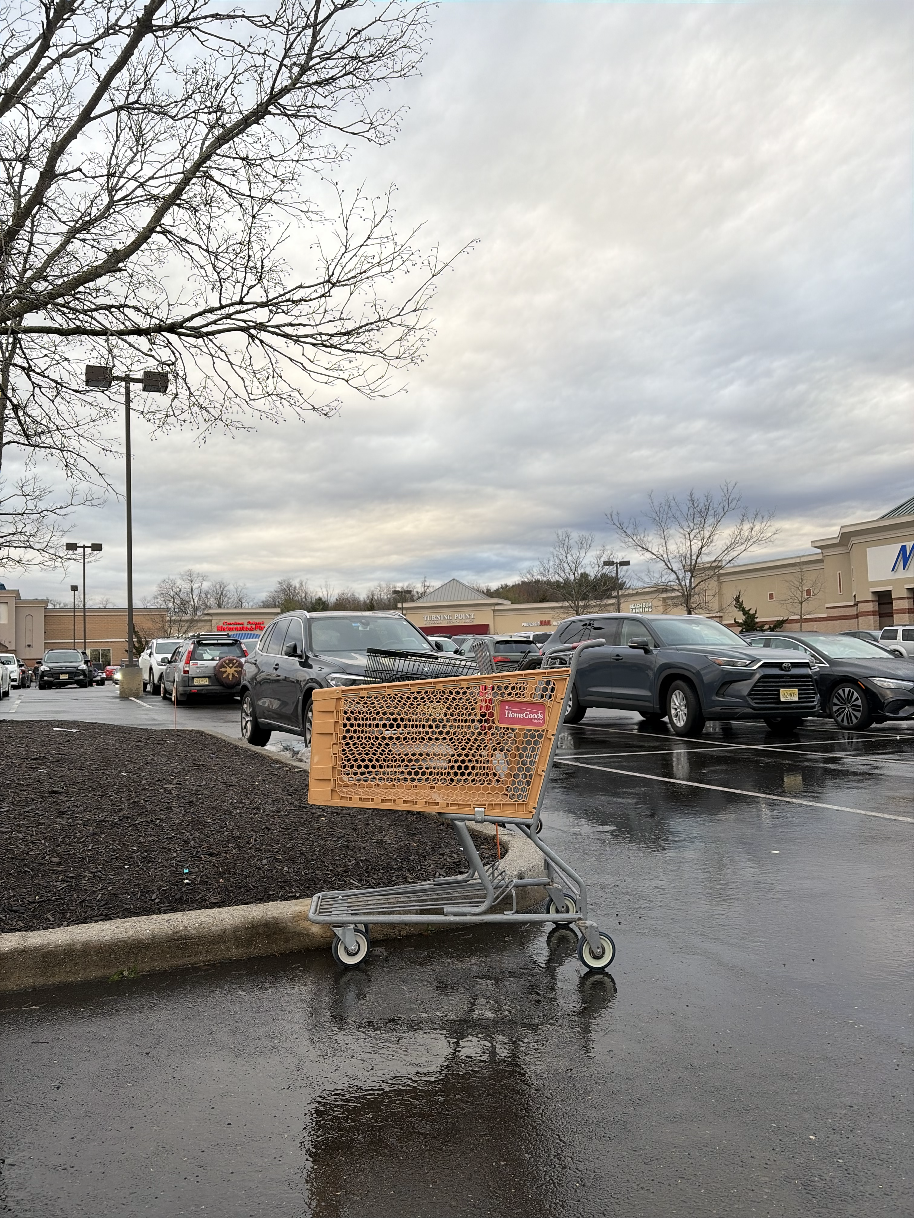 Why Are There so Many Carts?