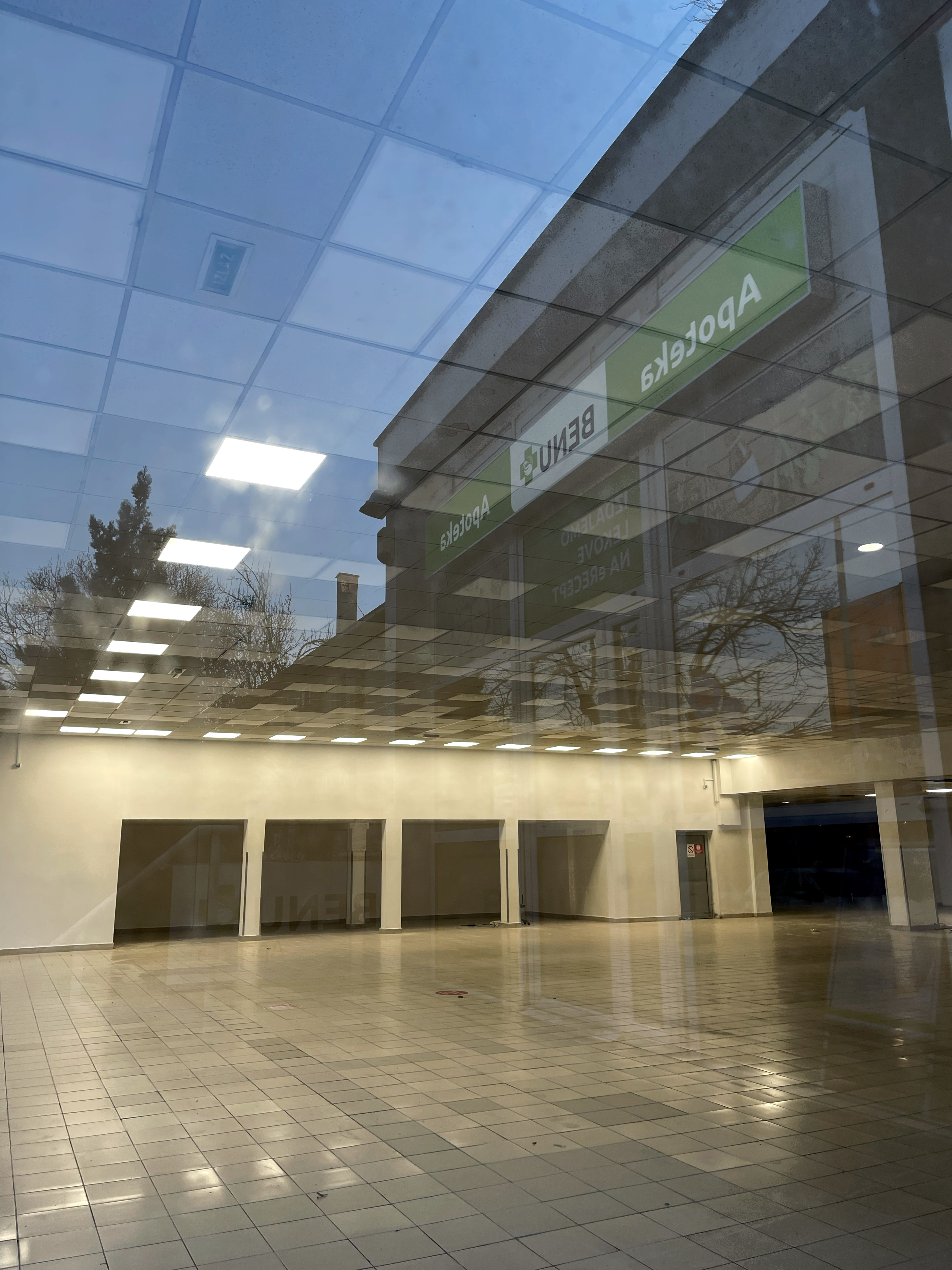 daily reflection _ 4