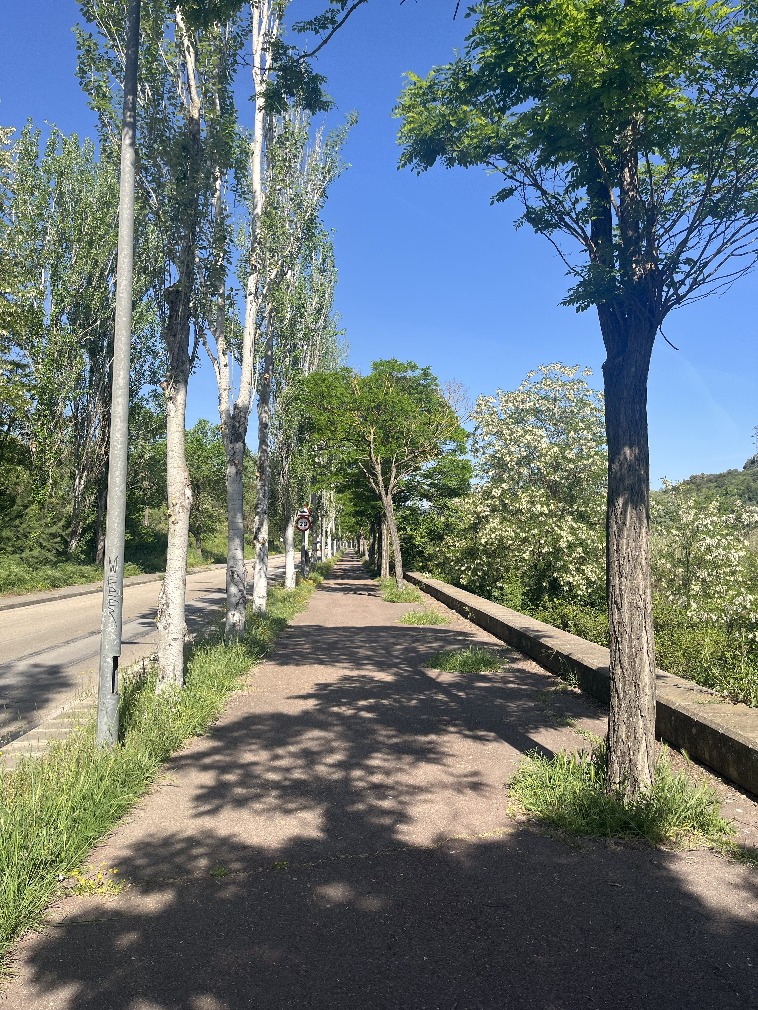 Sidewalk