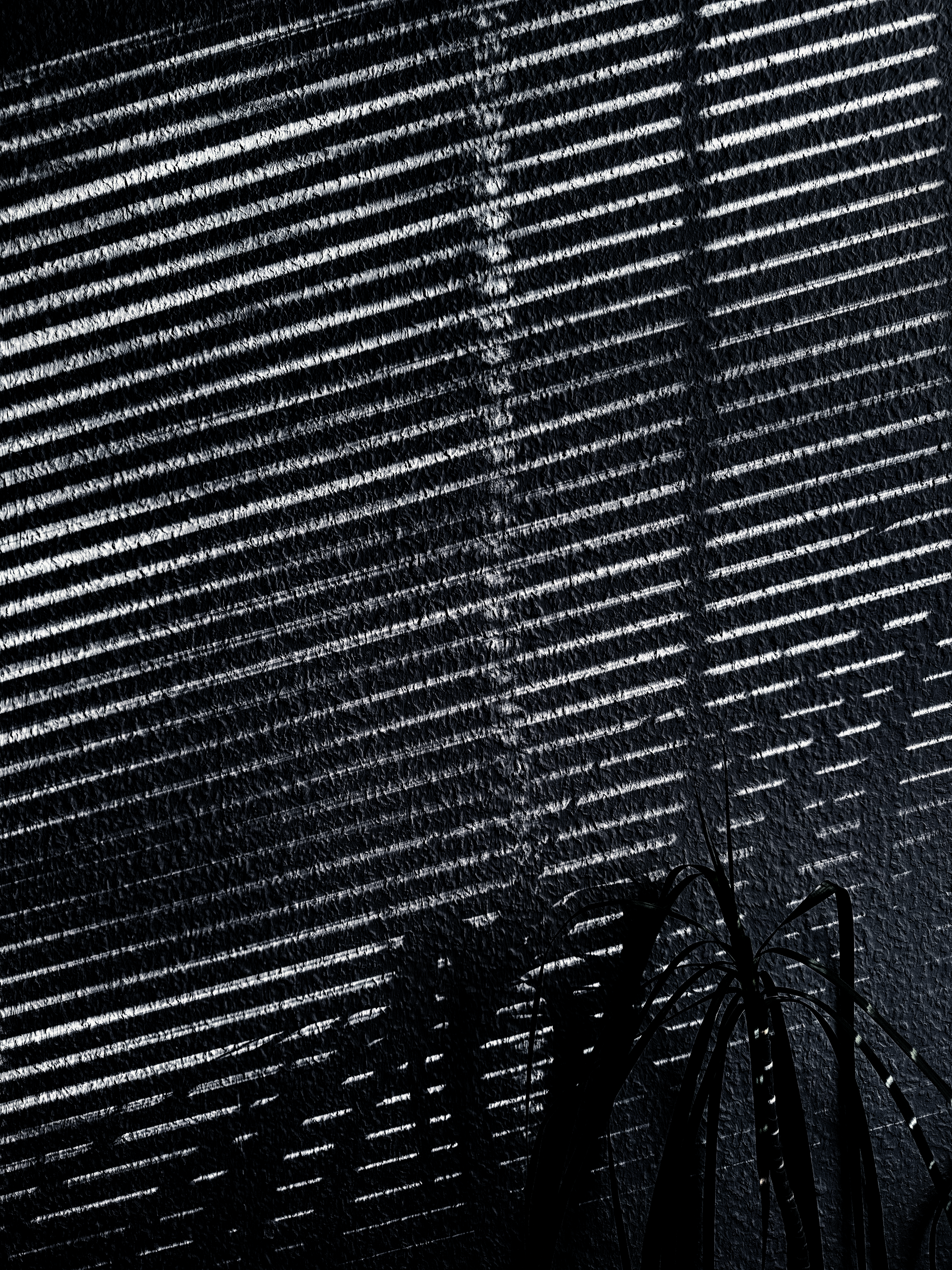 Photo 4946969
