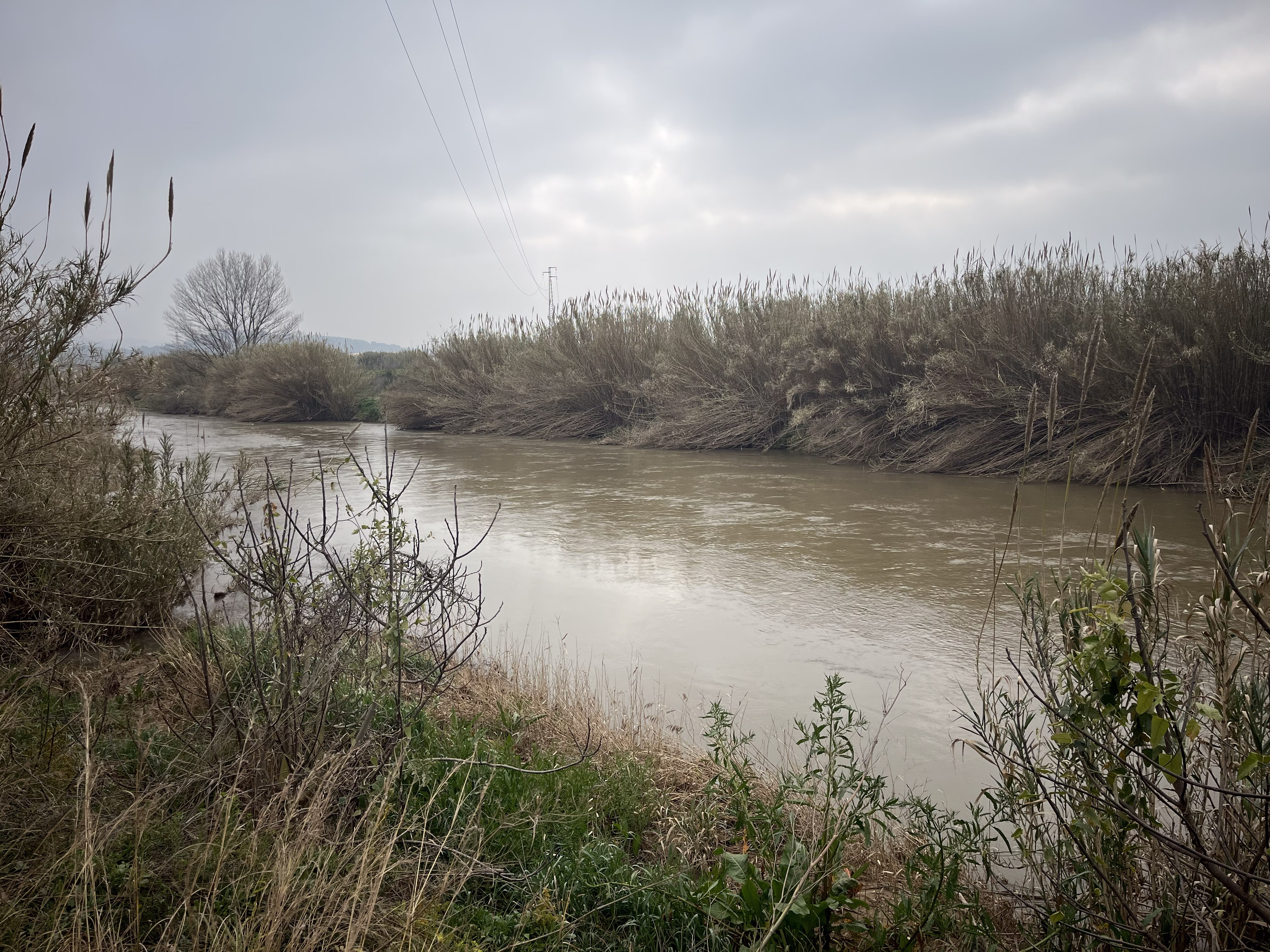 Llobregat early spring
