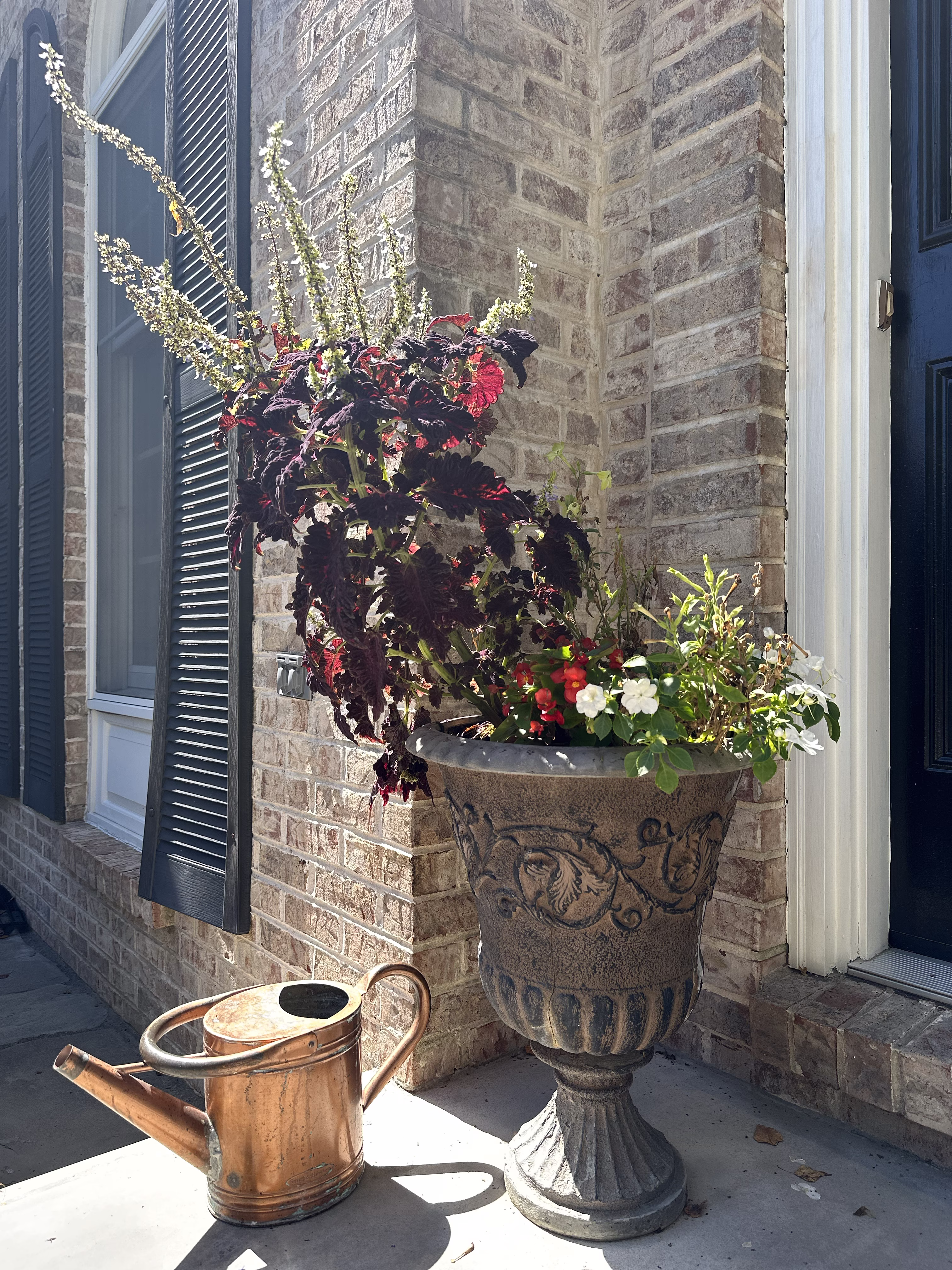 A Sunny Corner - Late Summer in Hockessin 