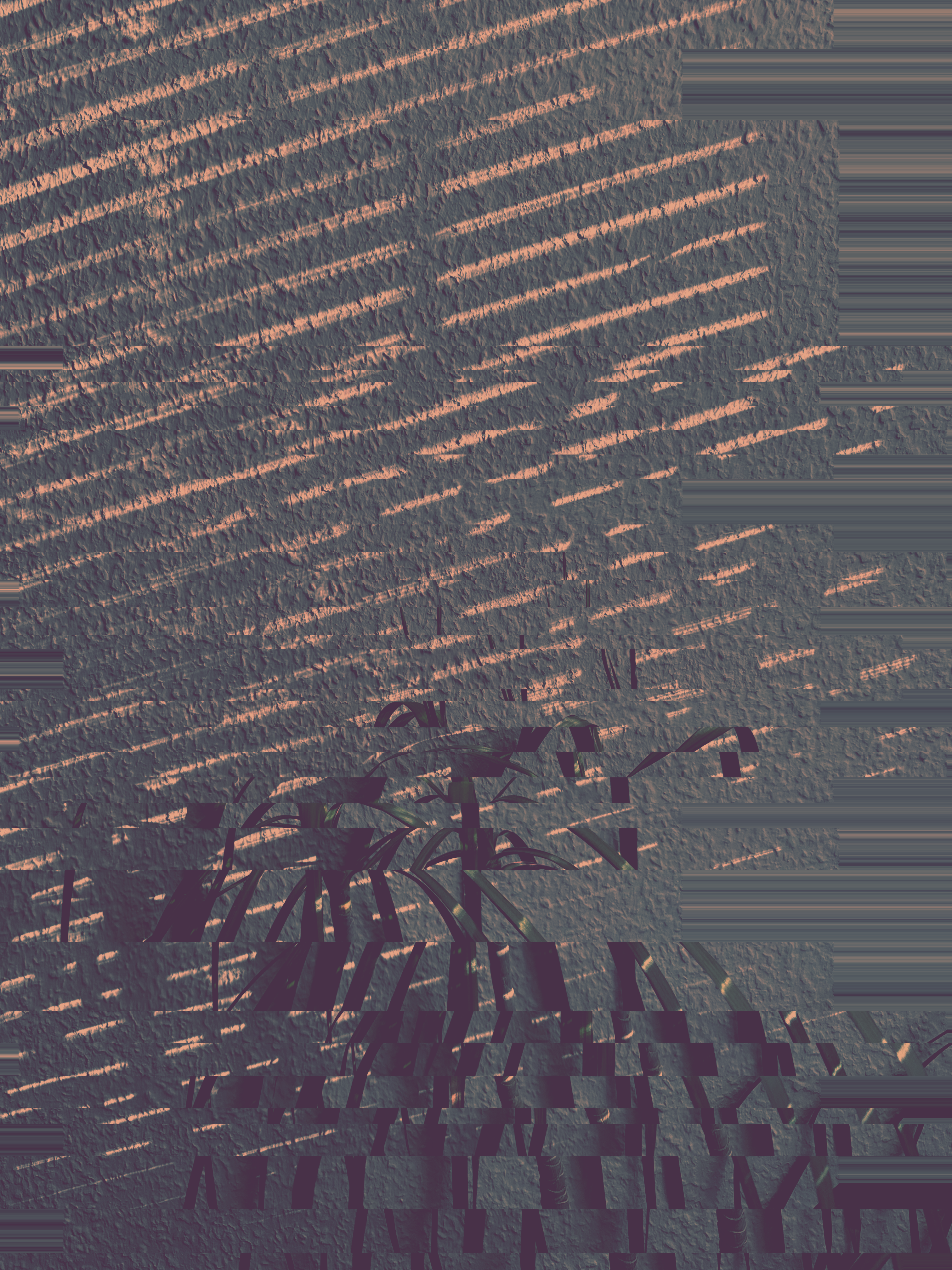 Photo 7863090