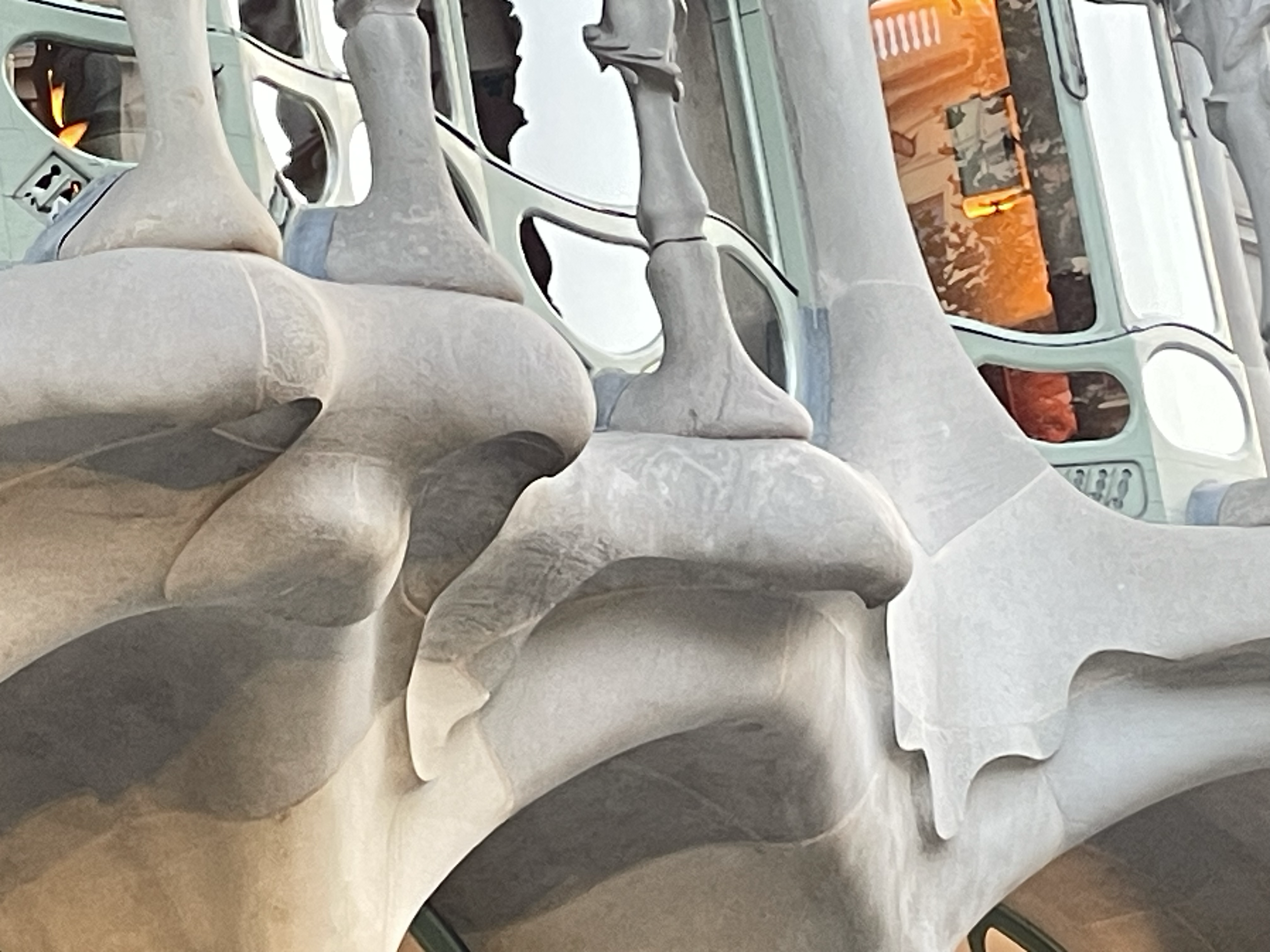 Faces of Casa Batllo 