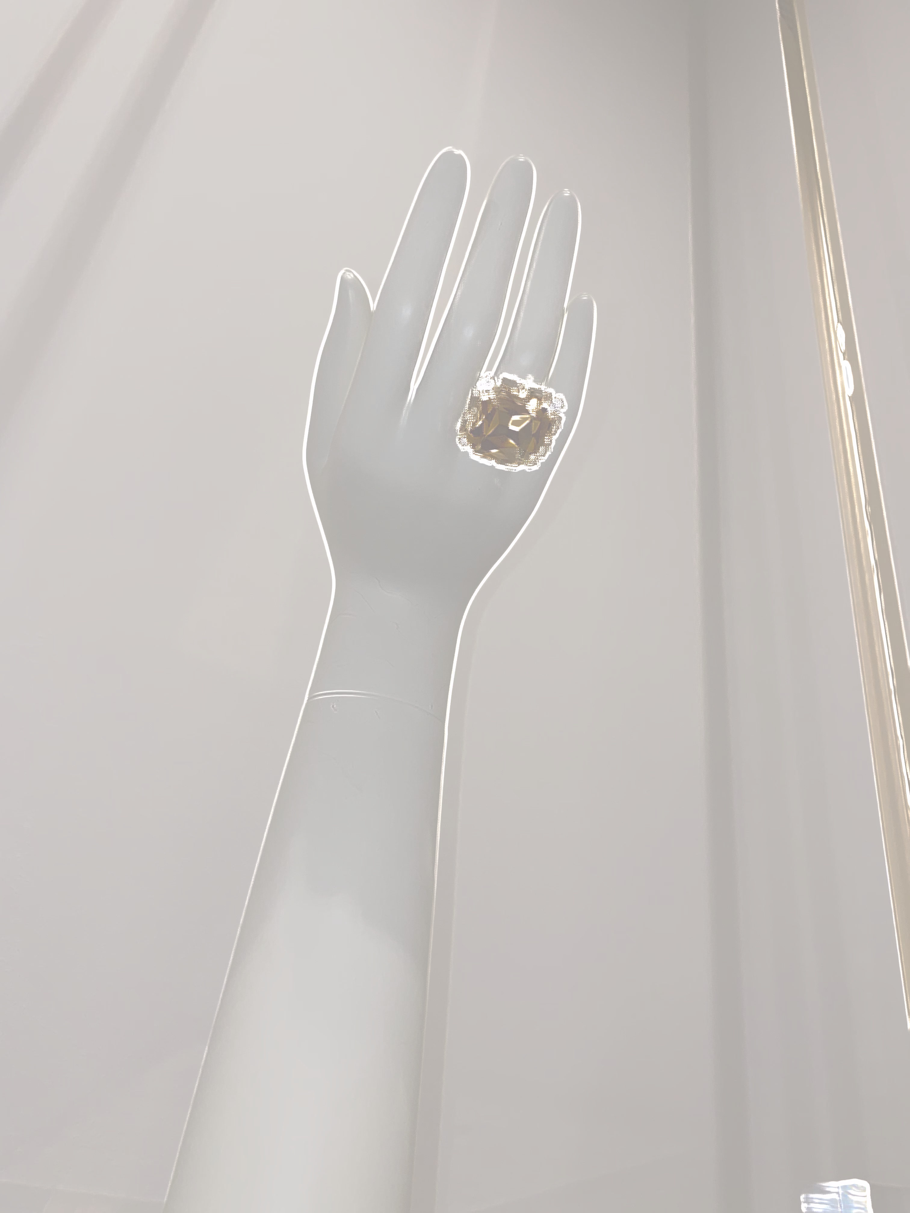 Still Life with a Ring