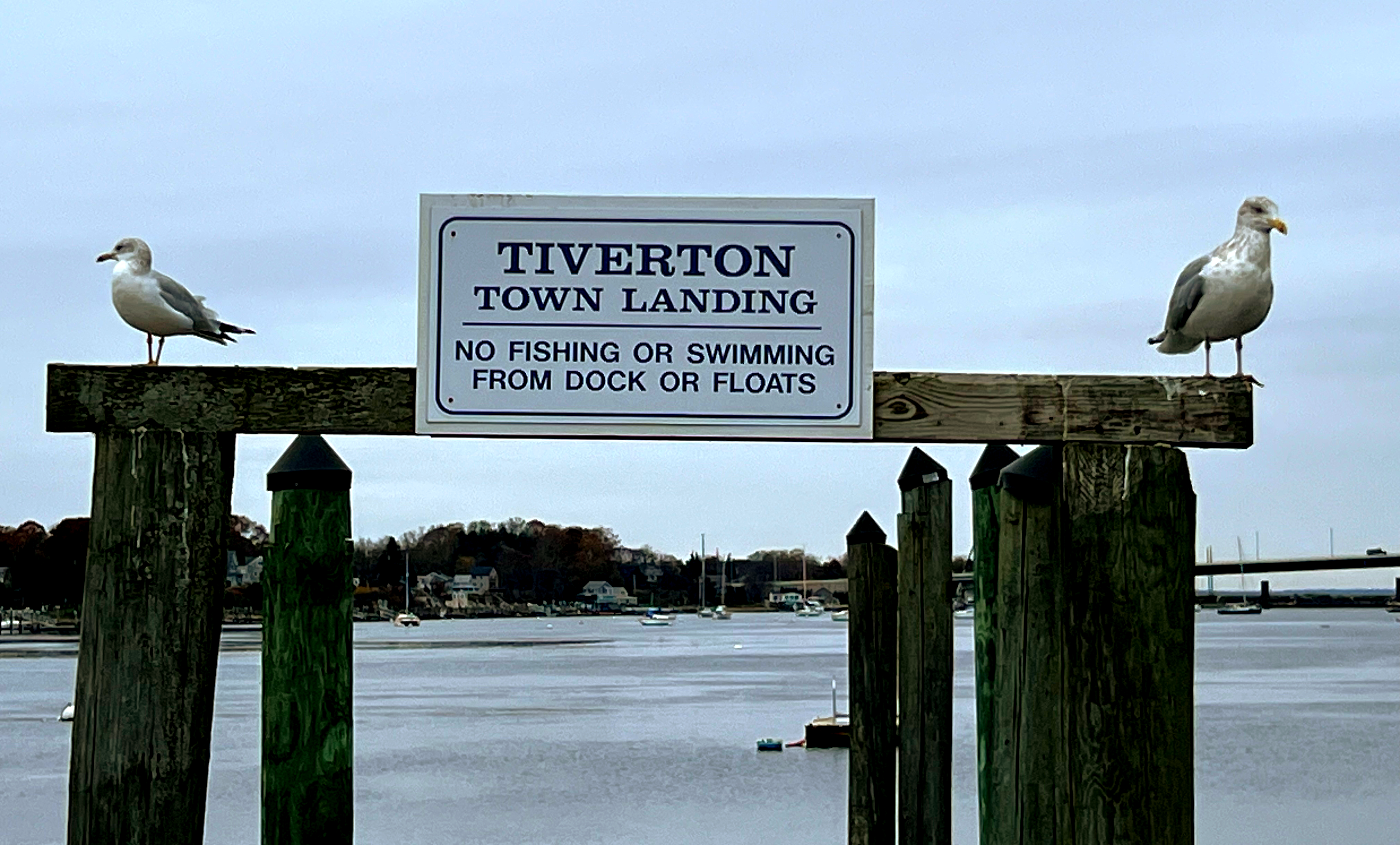 The Welcoming Locals