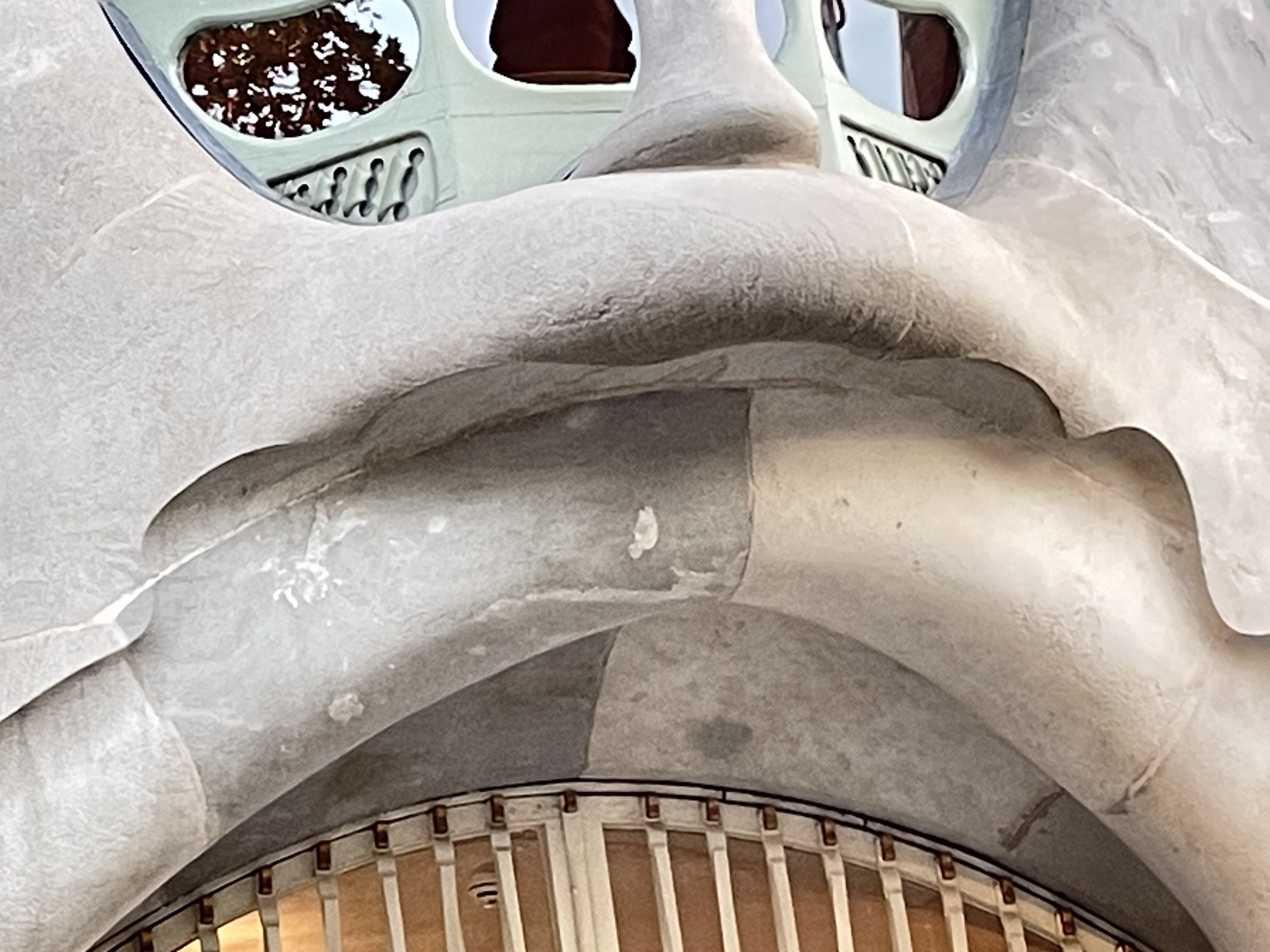 Casa Batllo Shark