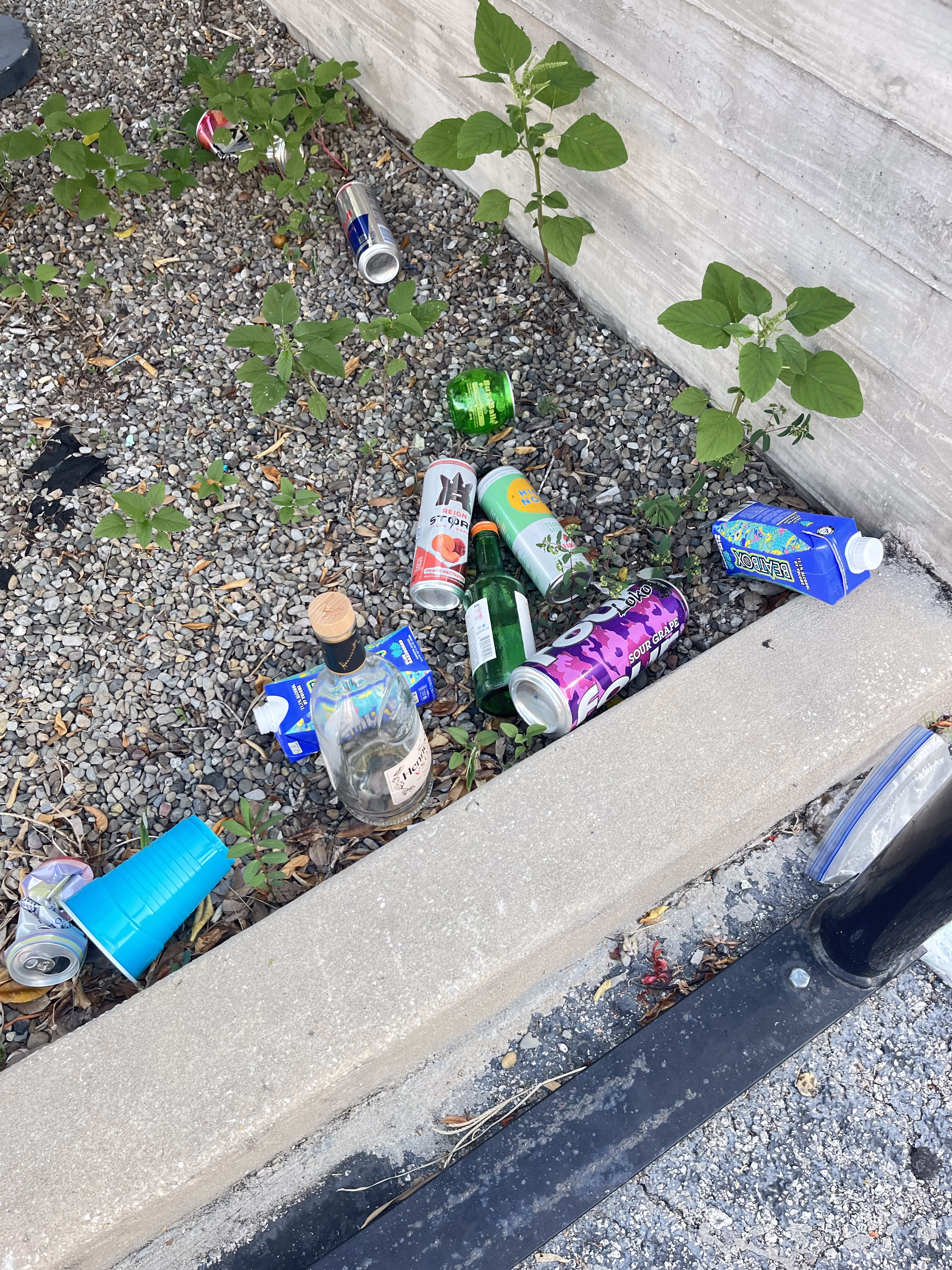 Michelin Star Trash!