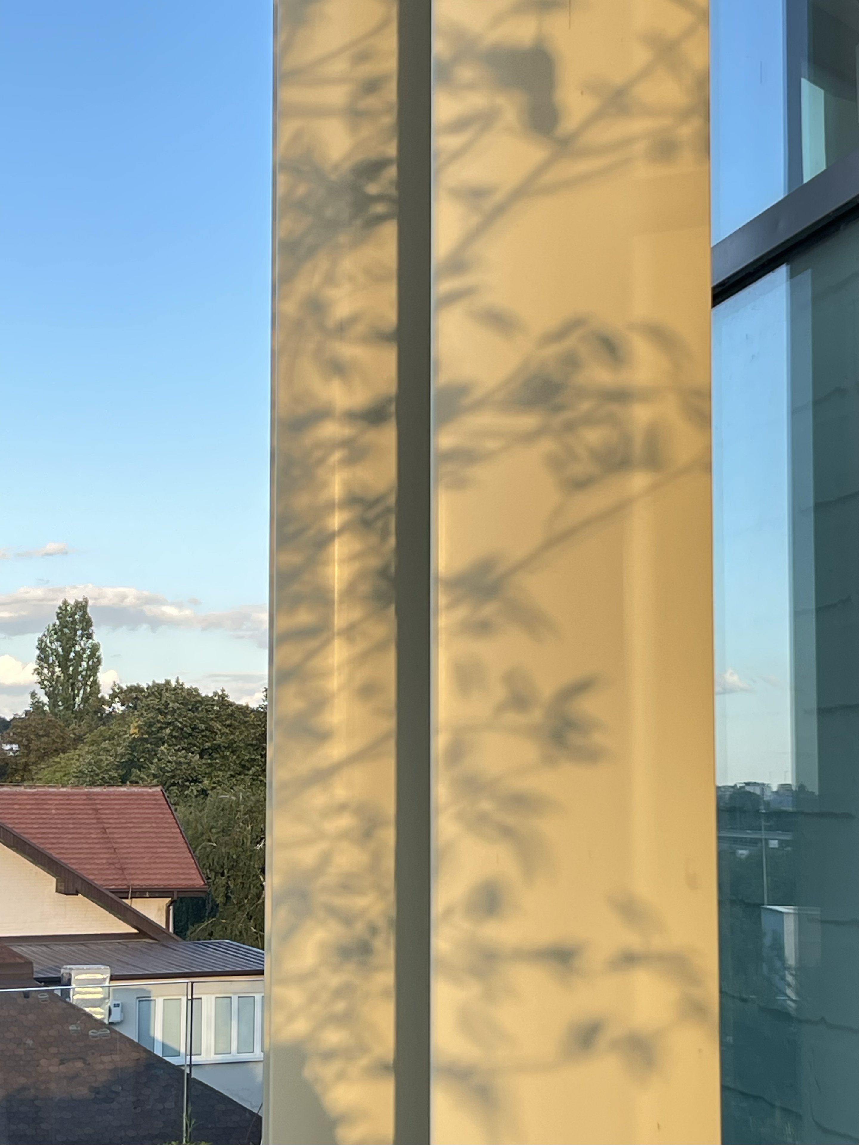 floral shadow pattern 