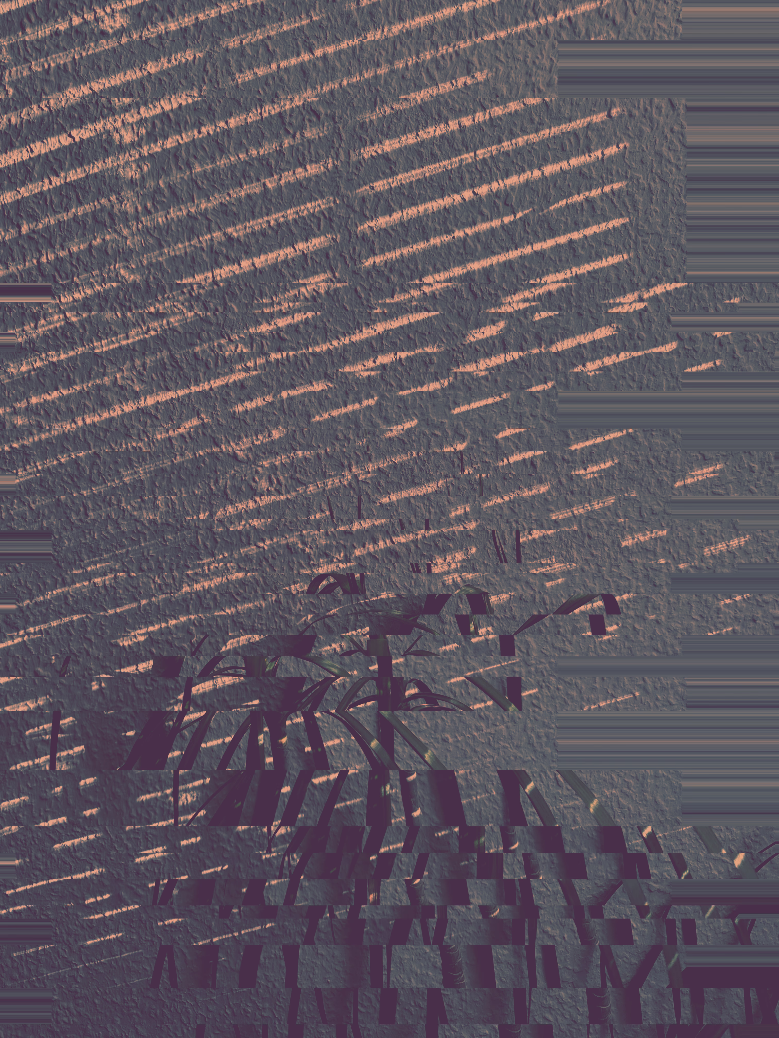 Photo 7863090