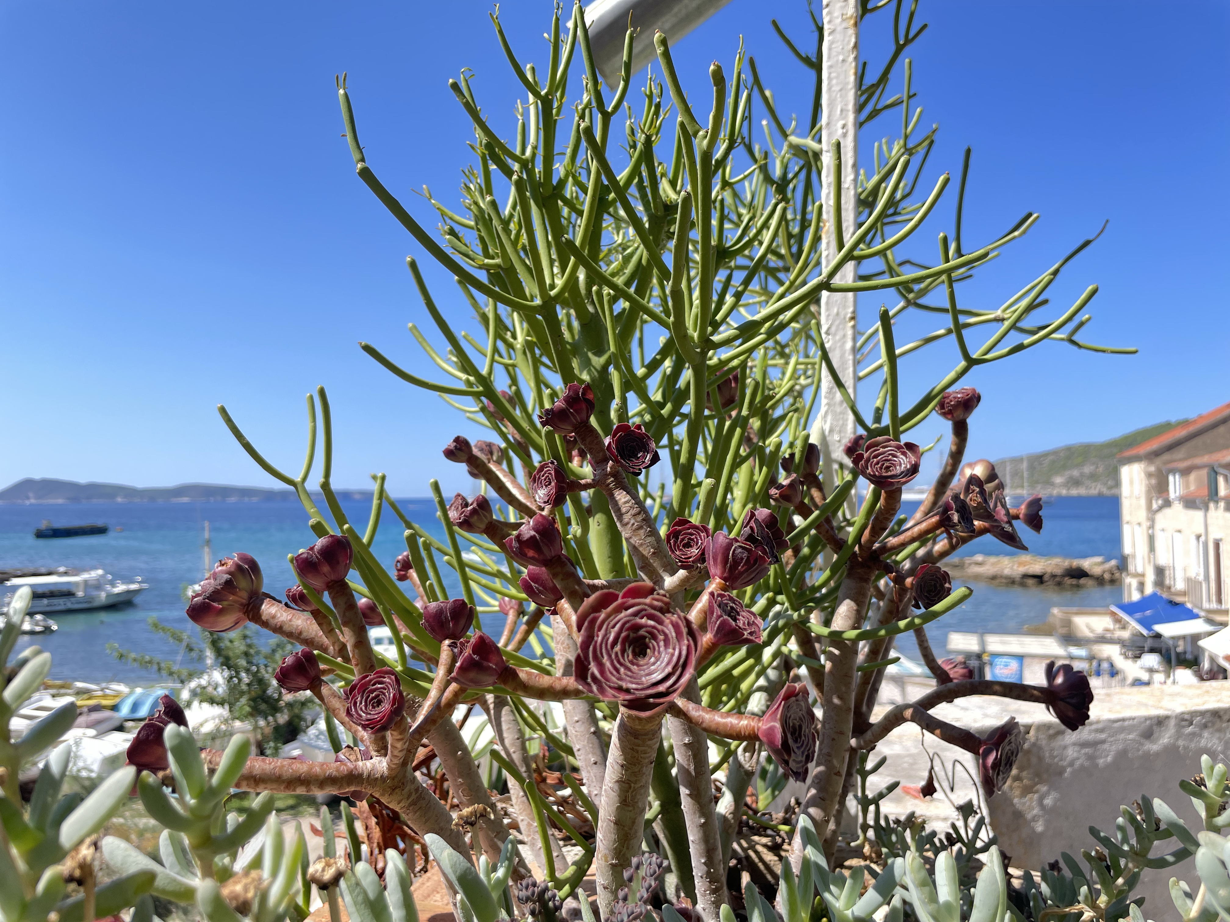 Haven’t seen you last year 