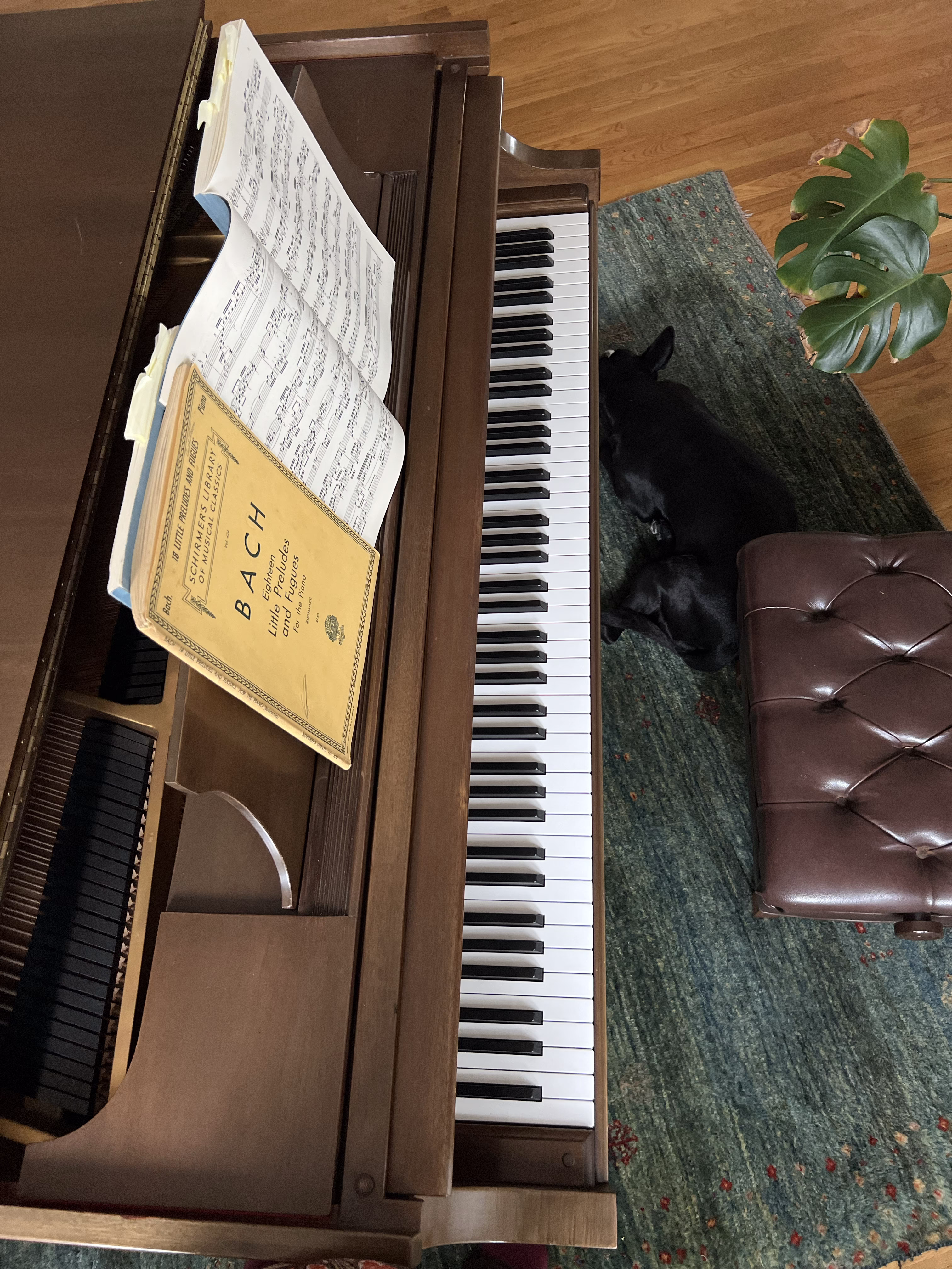 Above the Grand Piano