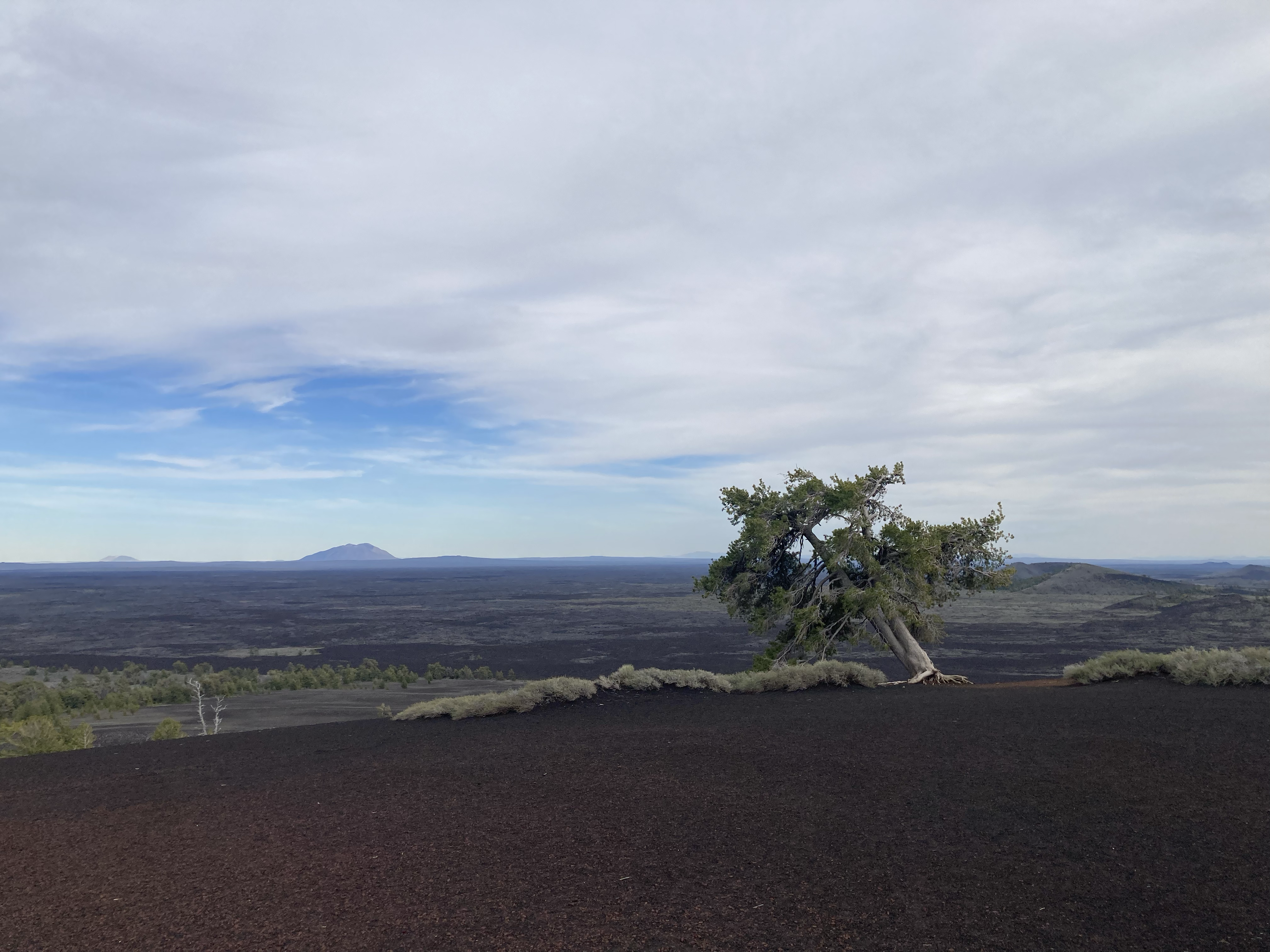 Photo 2174215