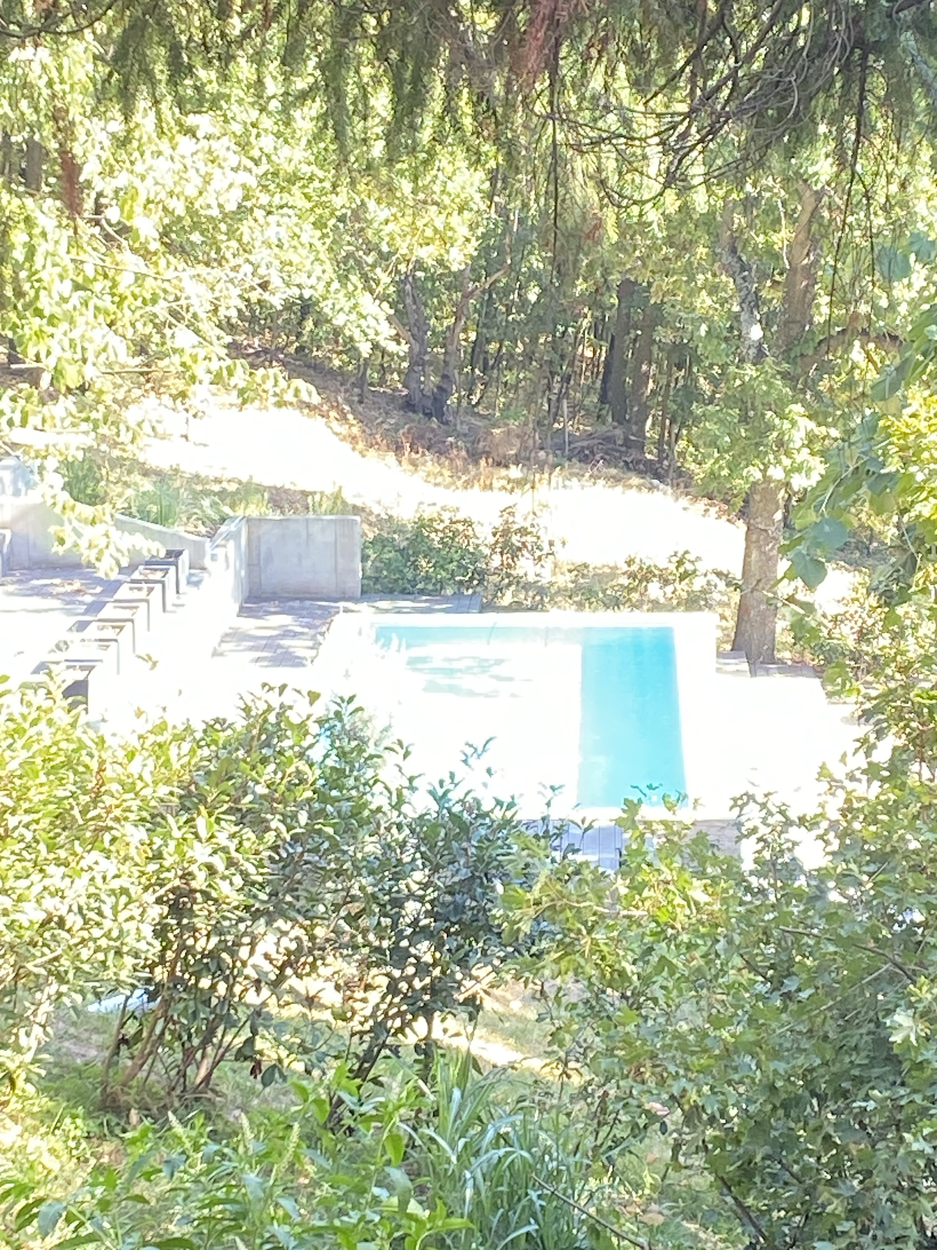 Pool in the Trees