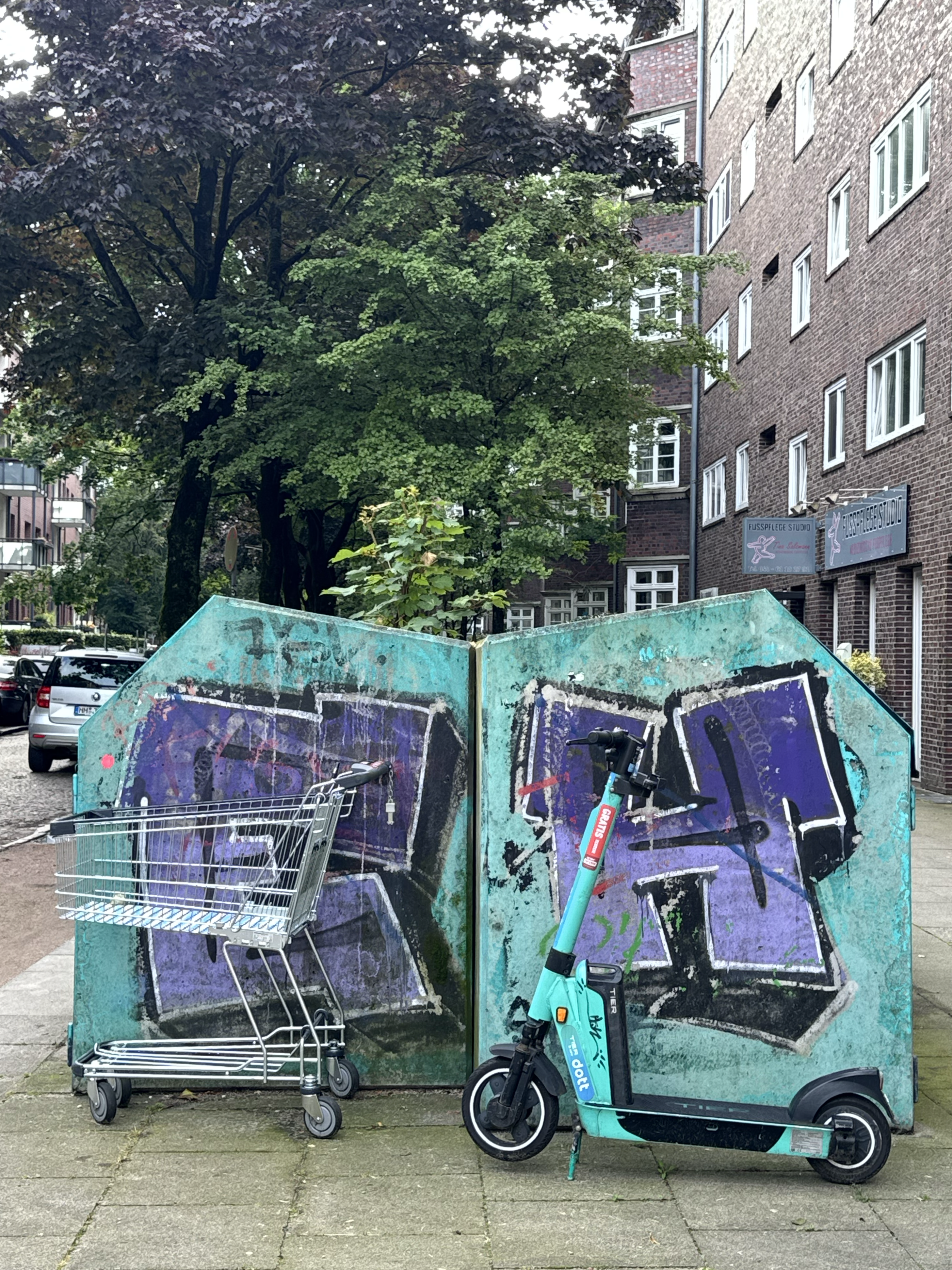 Shopping Cart Meets Scooter
