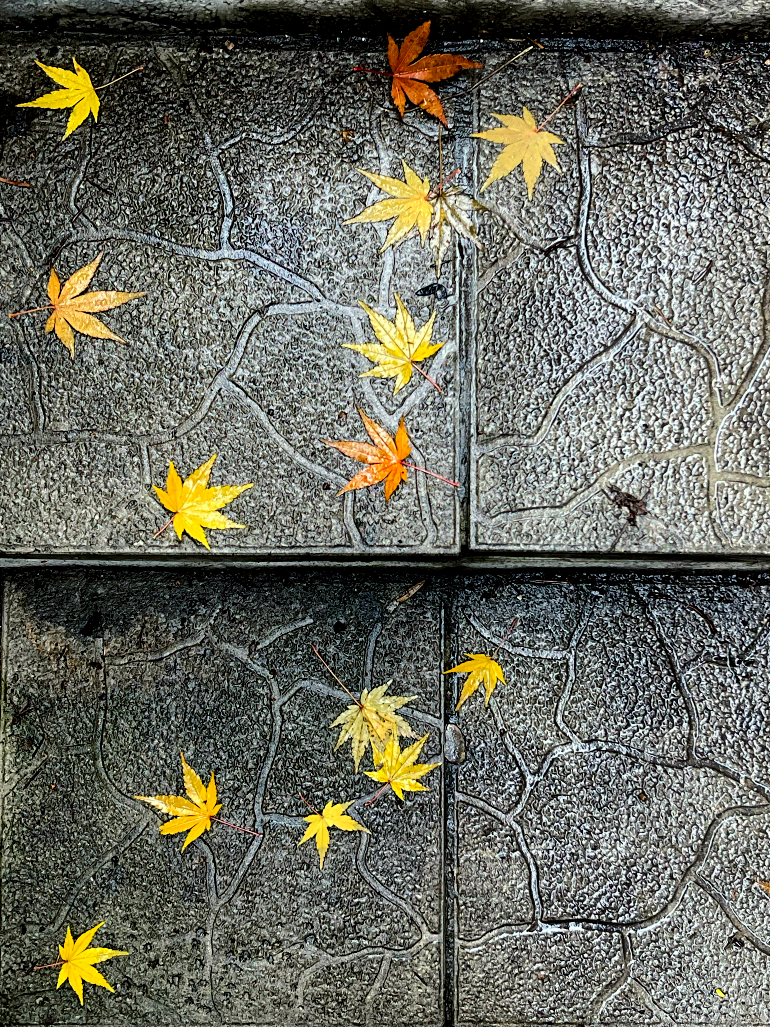 steps & leaves