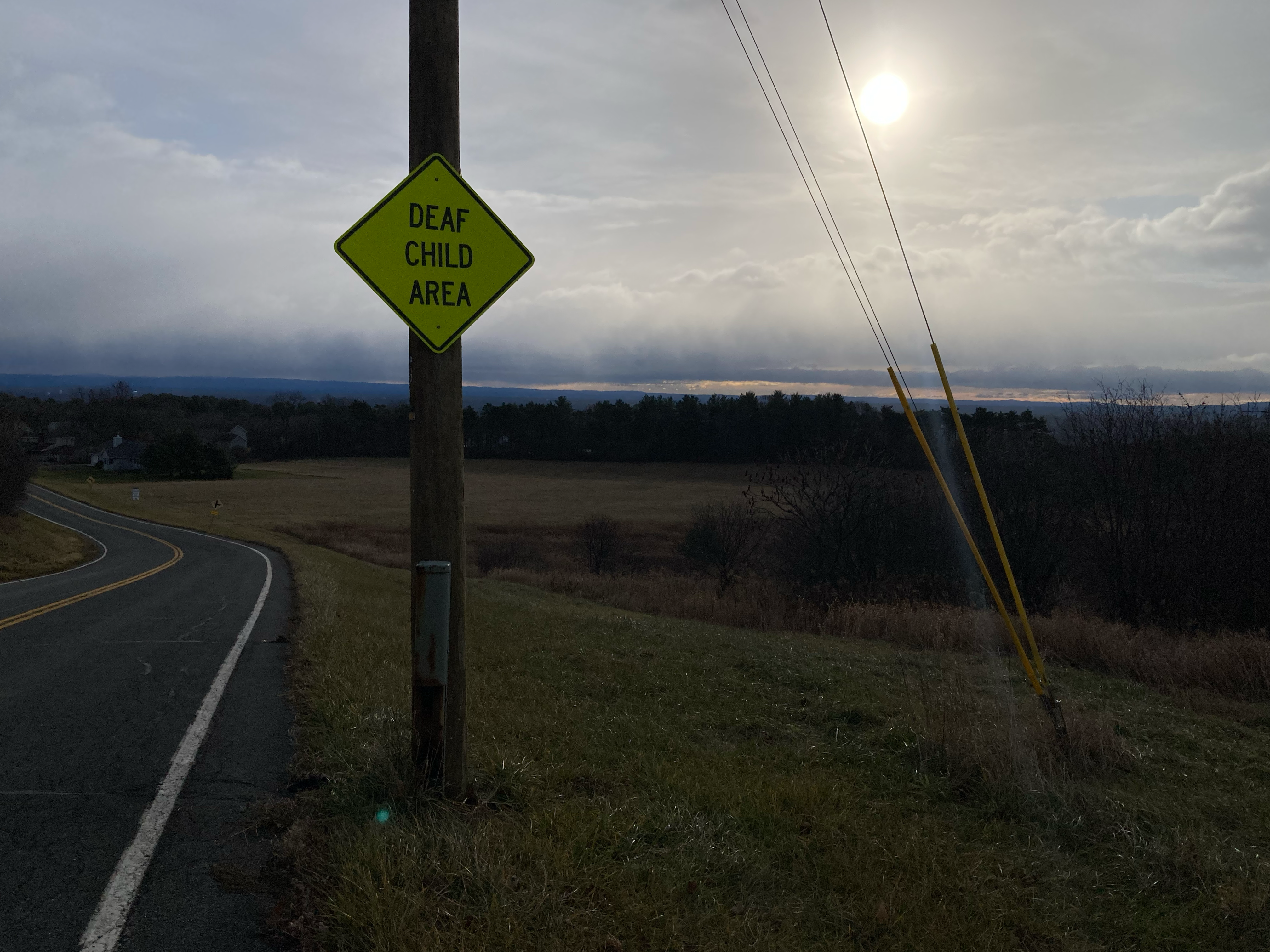 from a morning walk 