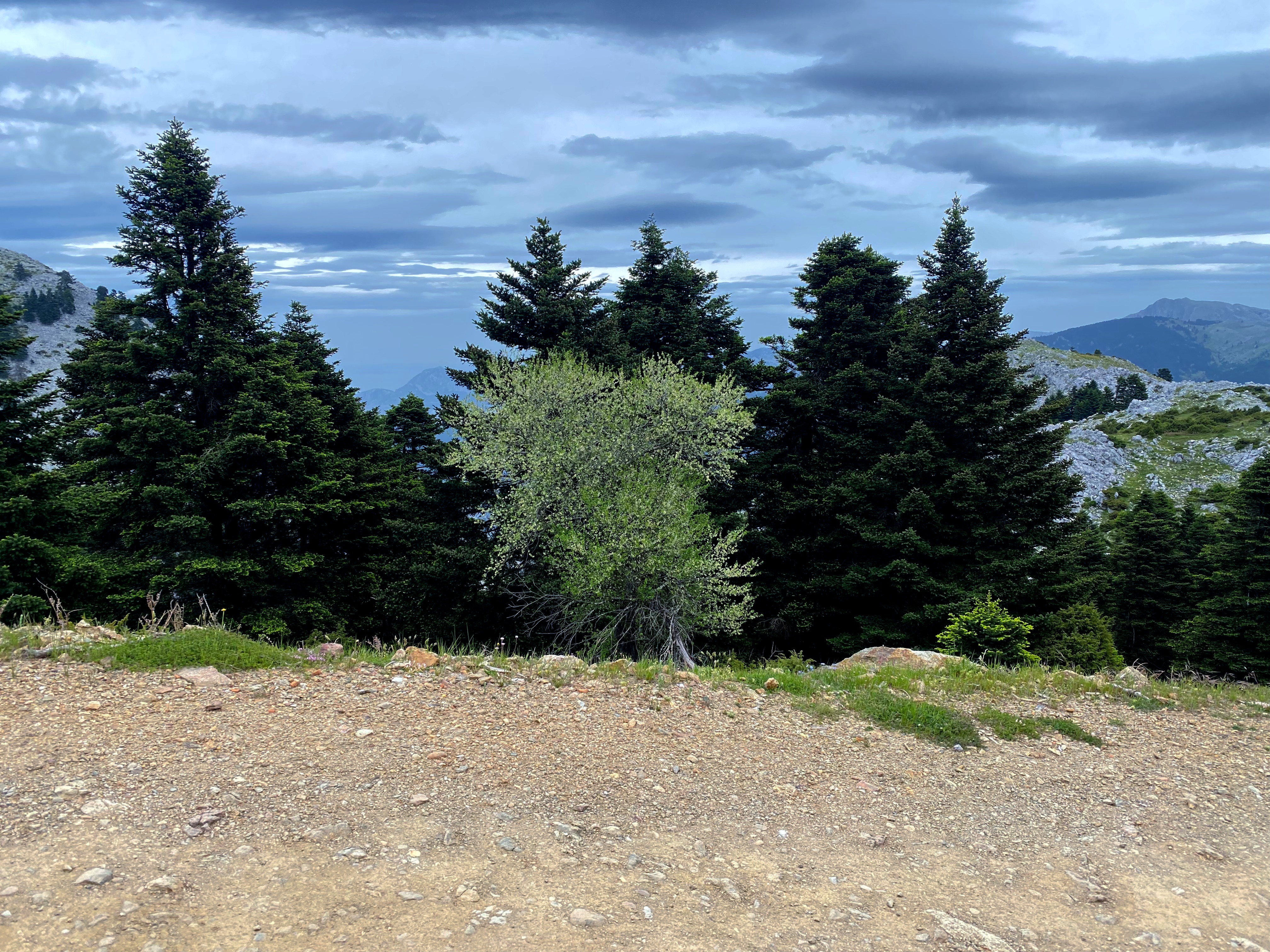 Photo 4138081