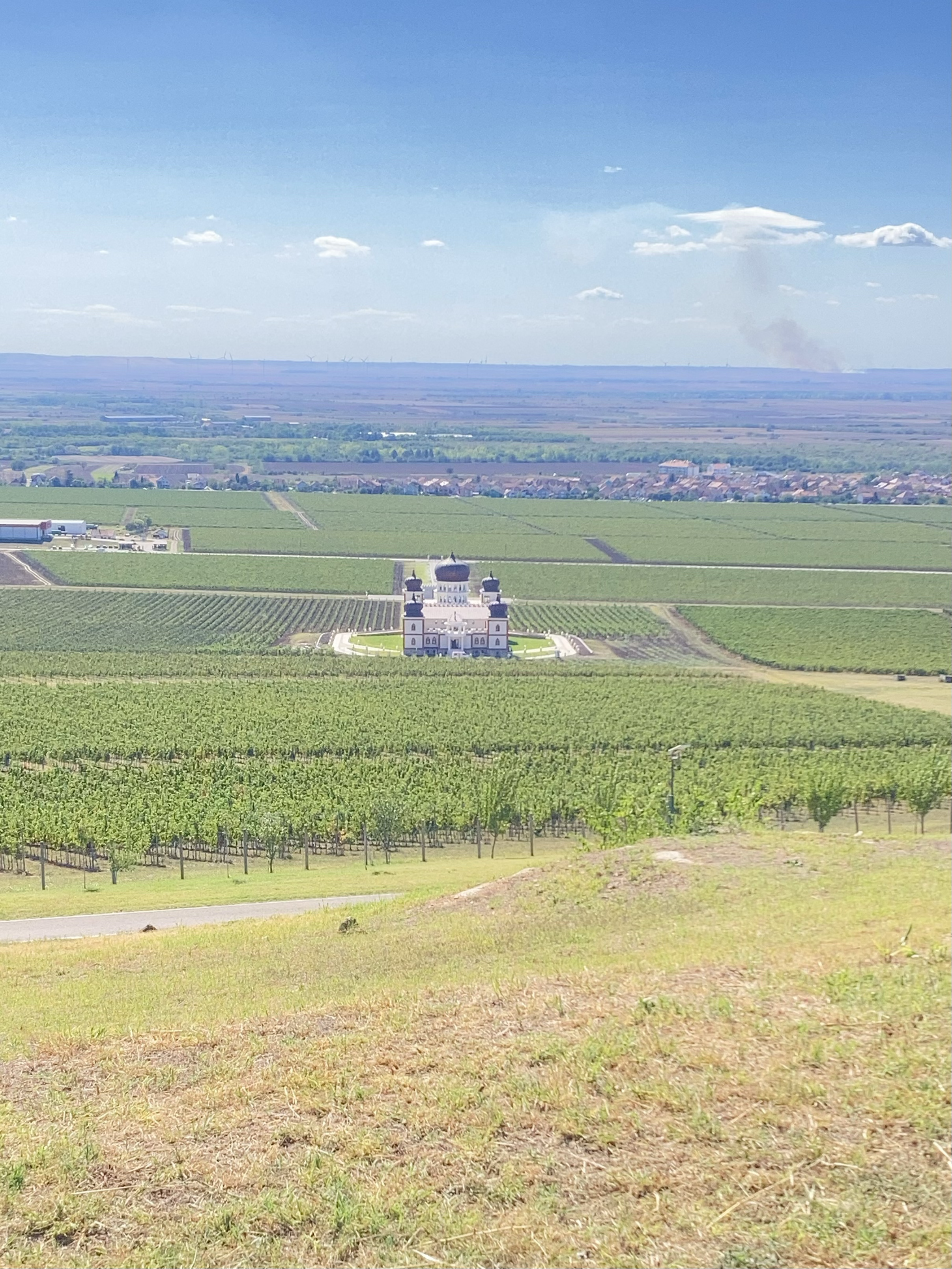 House in the vinejard