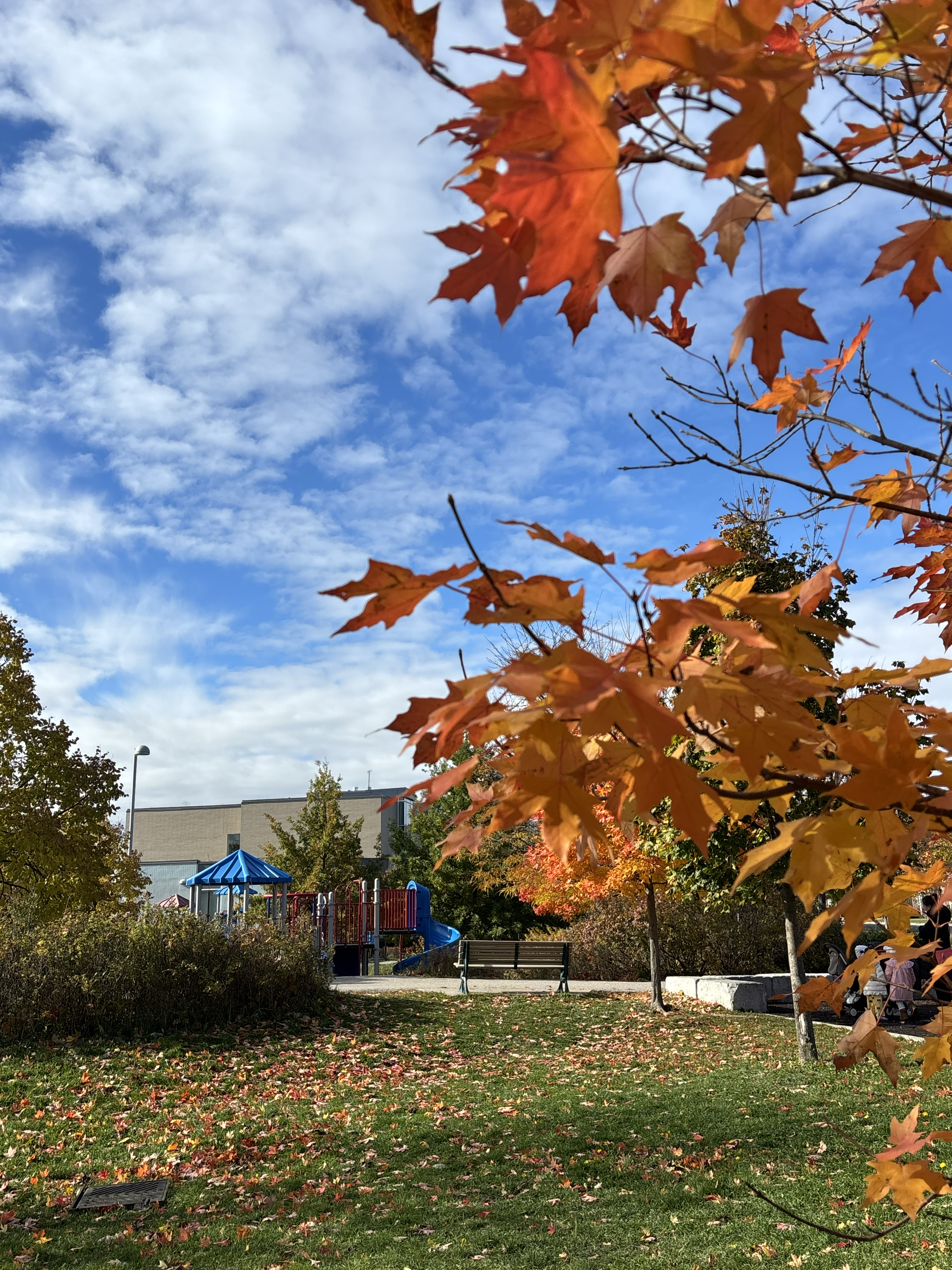 Toronto Edithvale Park