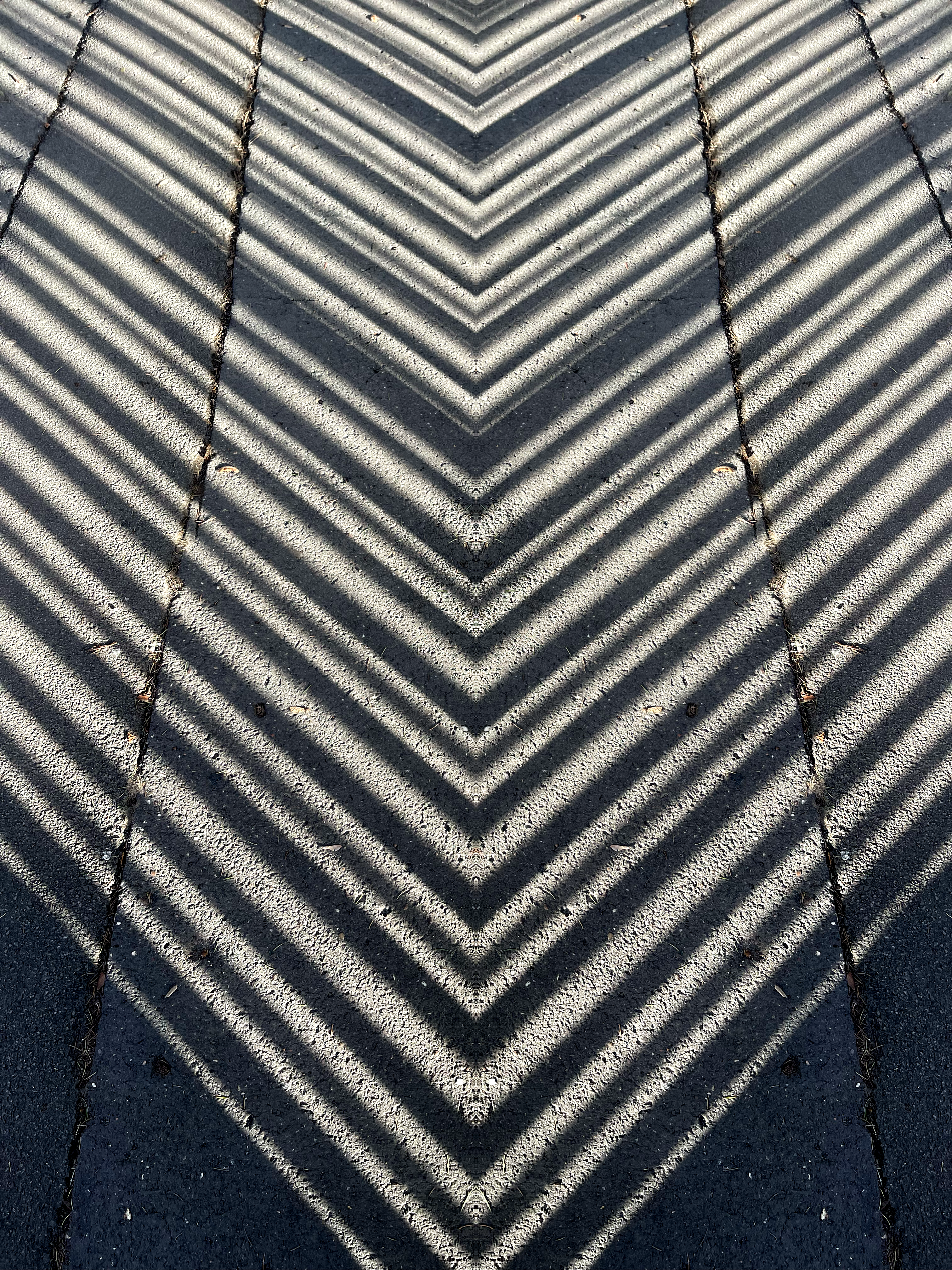 pavement shadows 