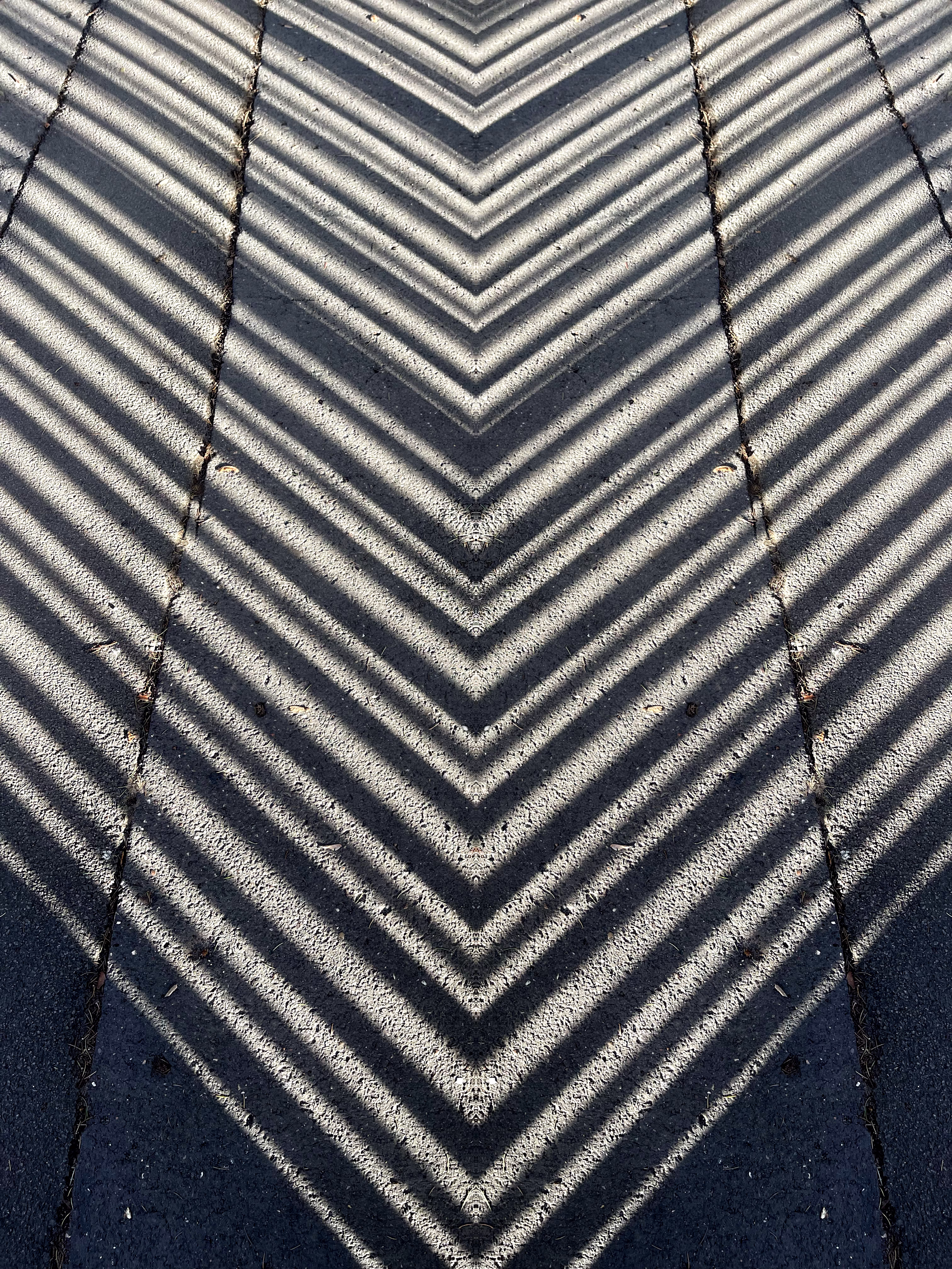 pavement shadows 