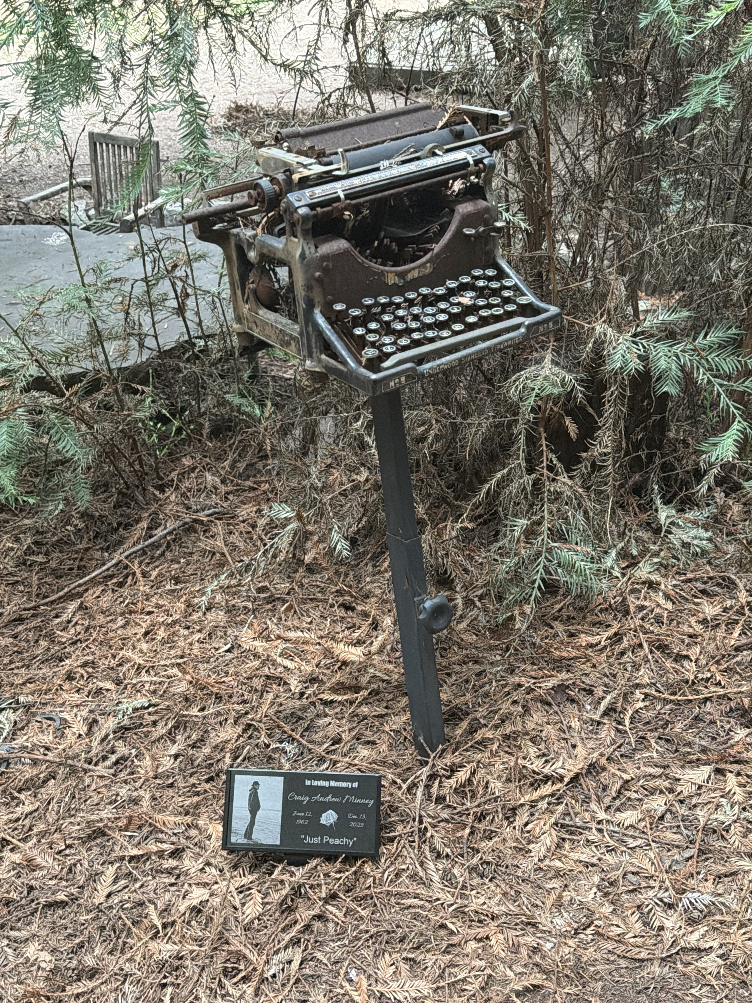 “Just Peachy” at Henry Miller Memorial Library