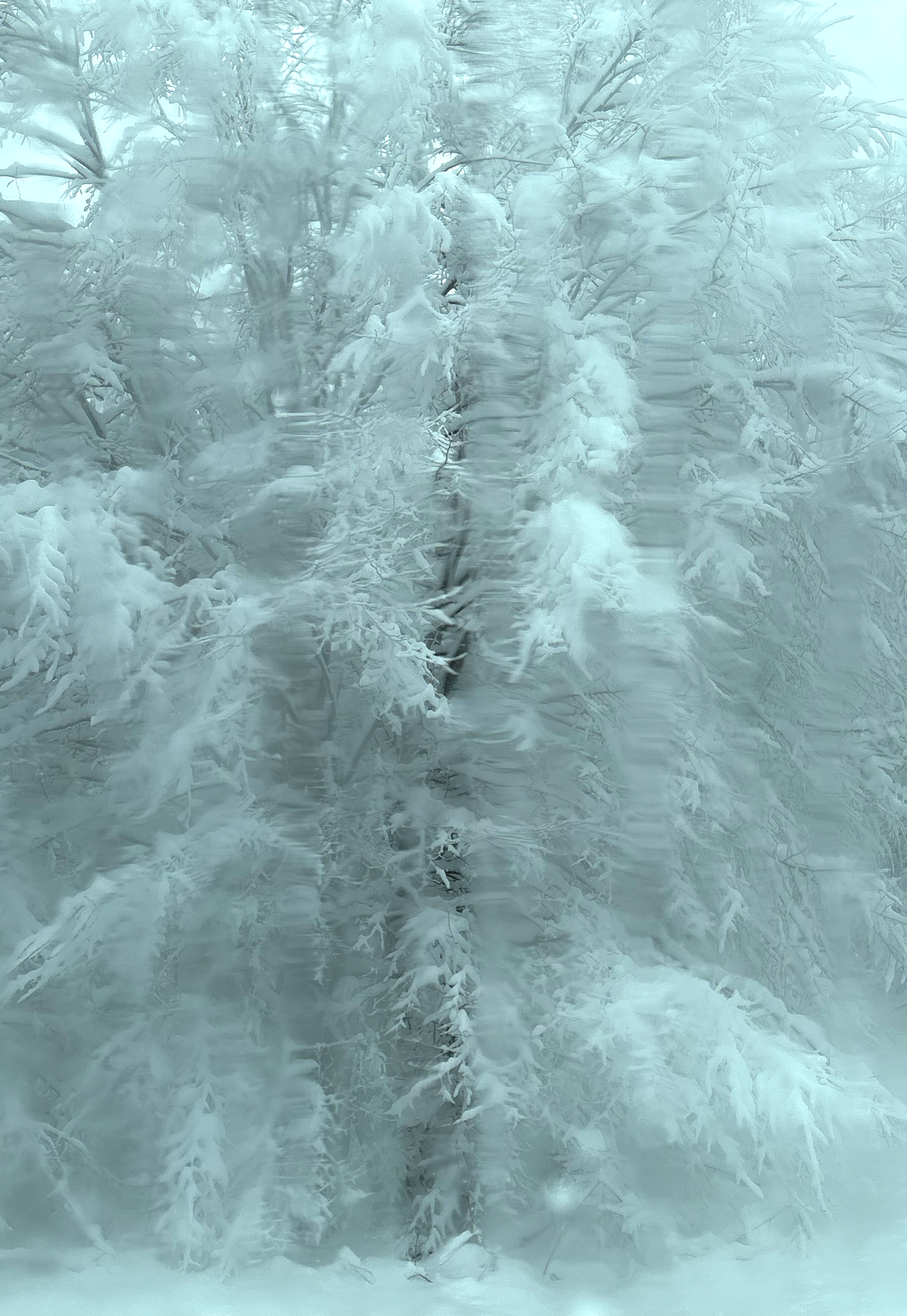 Snow shadow ❄️❄️