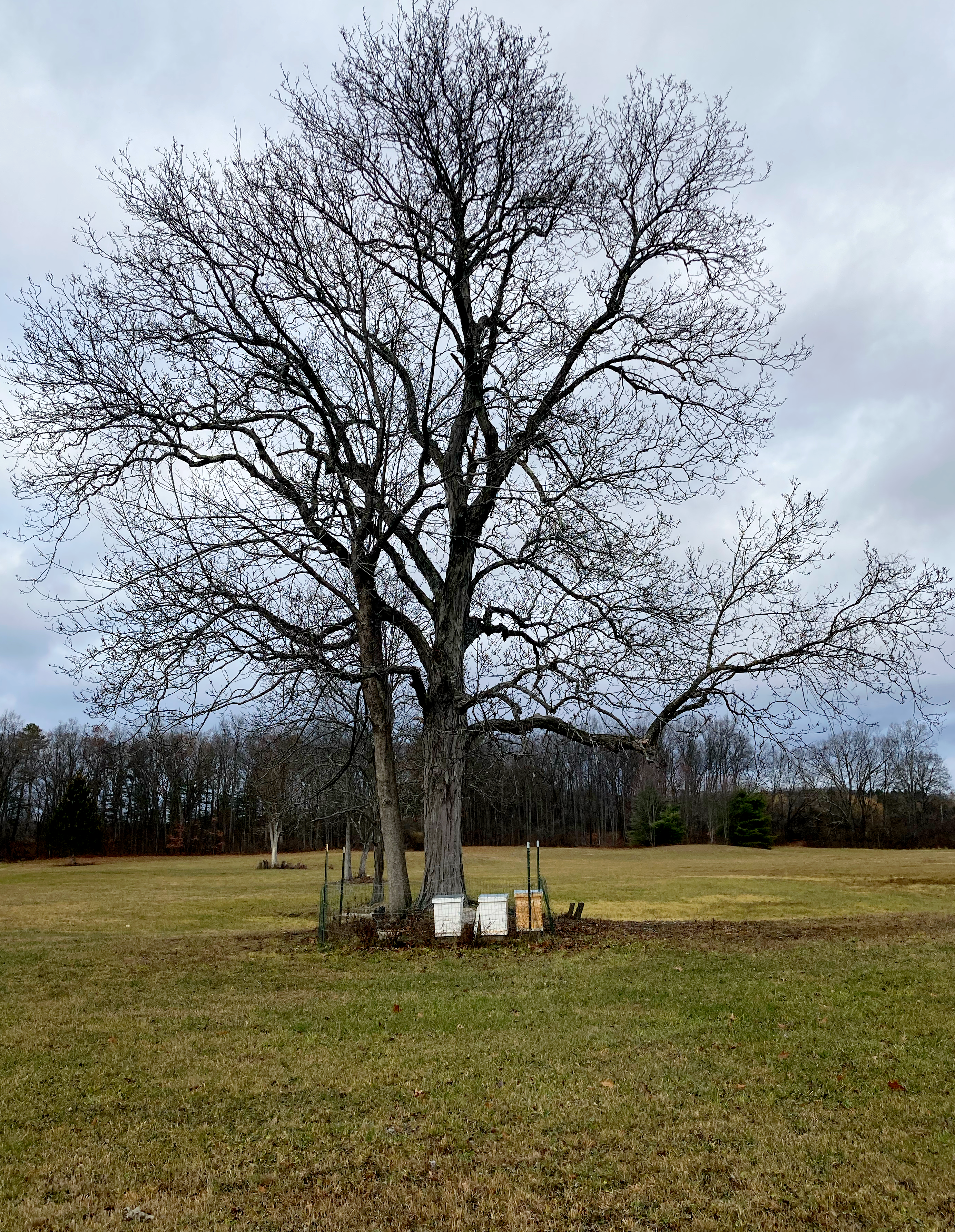 from a morning walk