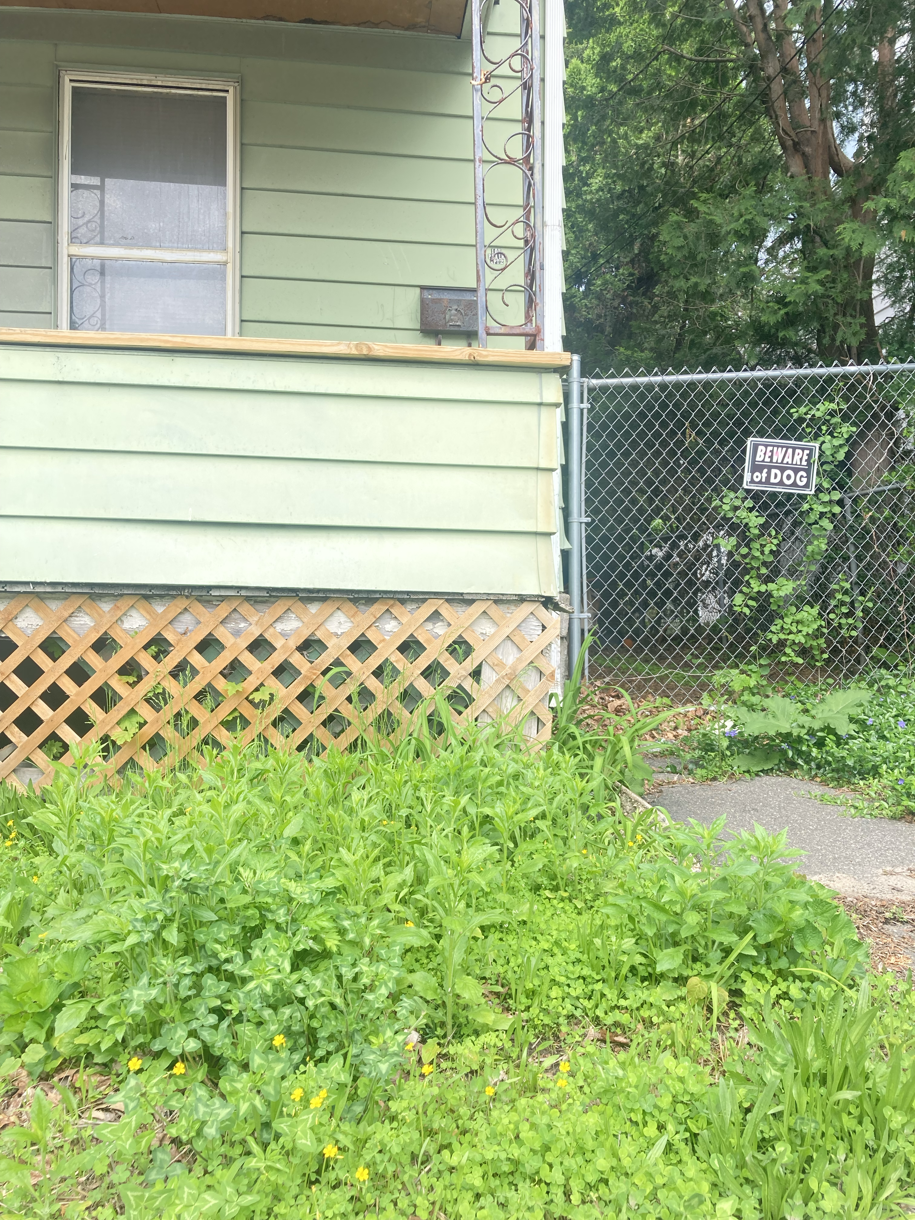 from an afternoon walk 