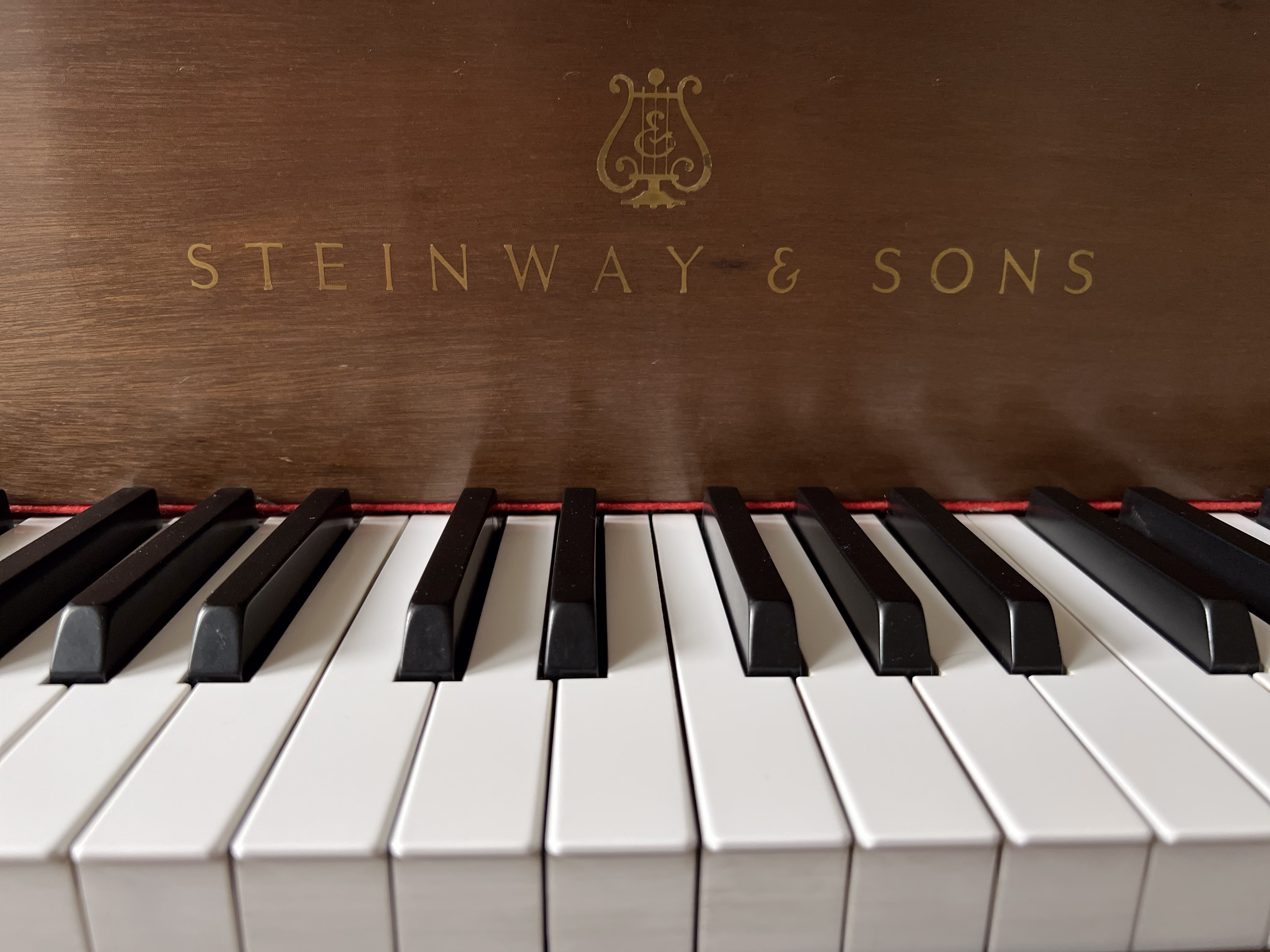 Grand Piano Keys