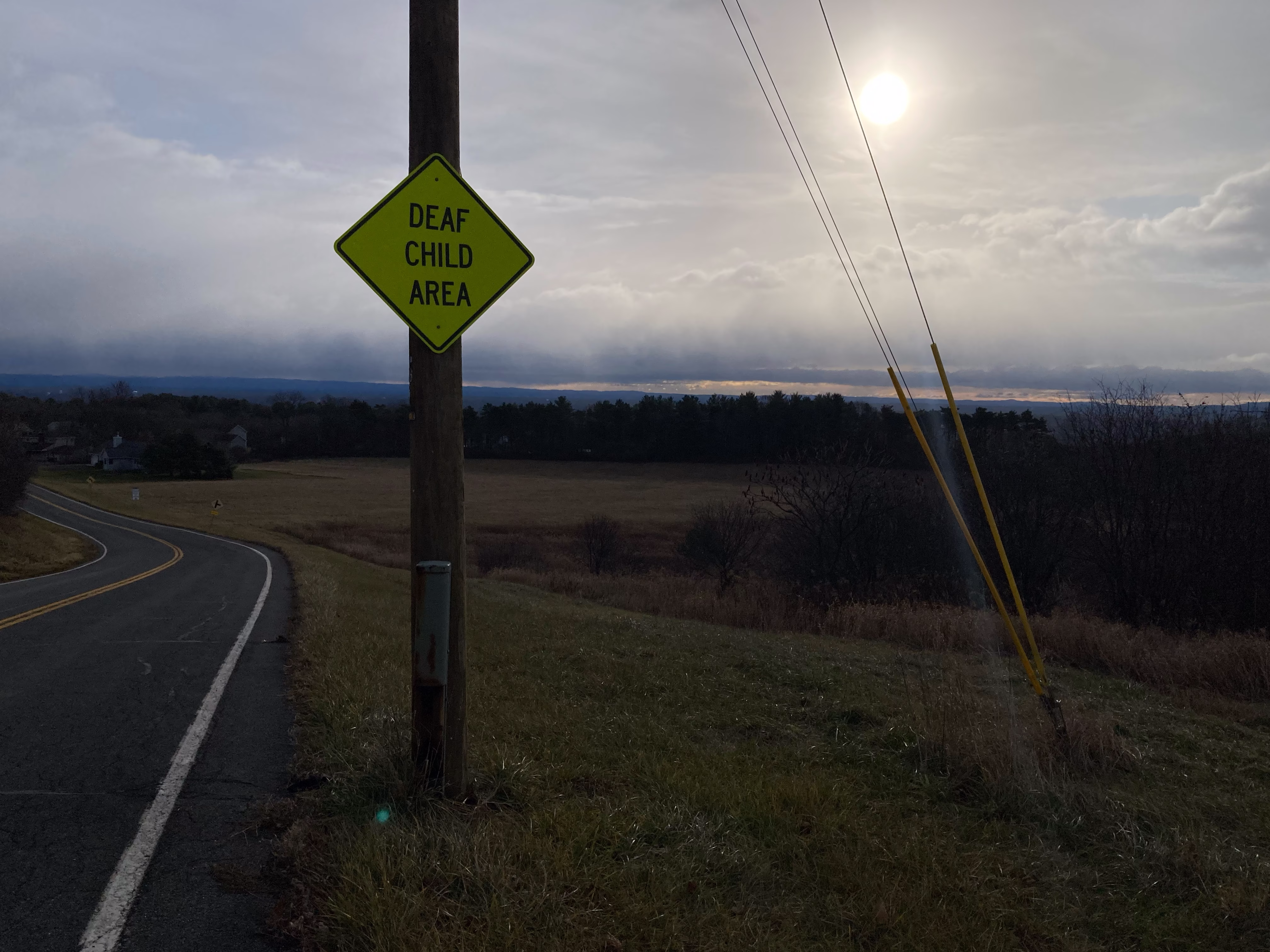 from a morning walk 