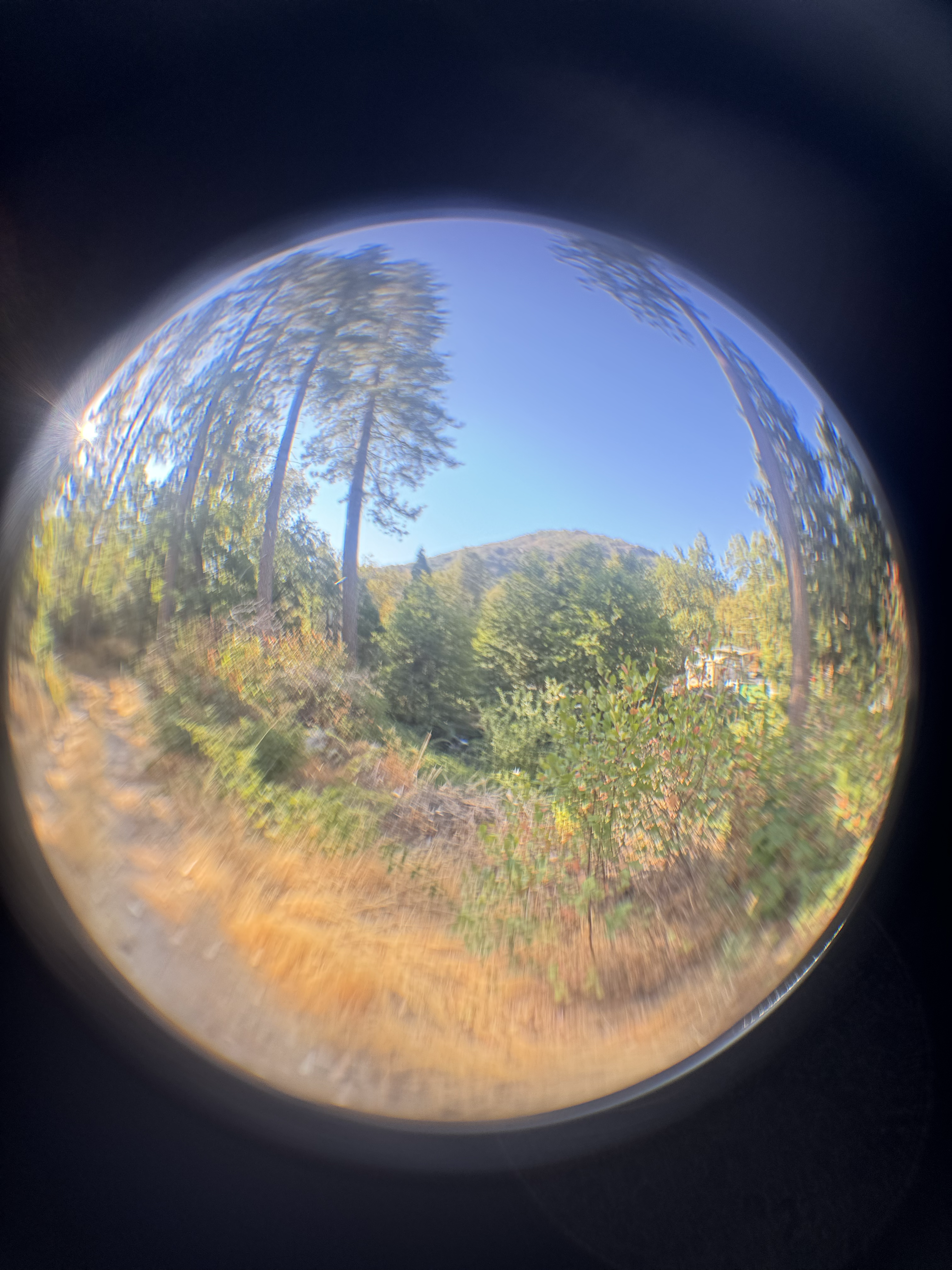 Capinero mountain dream 