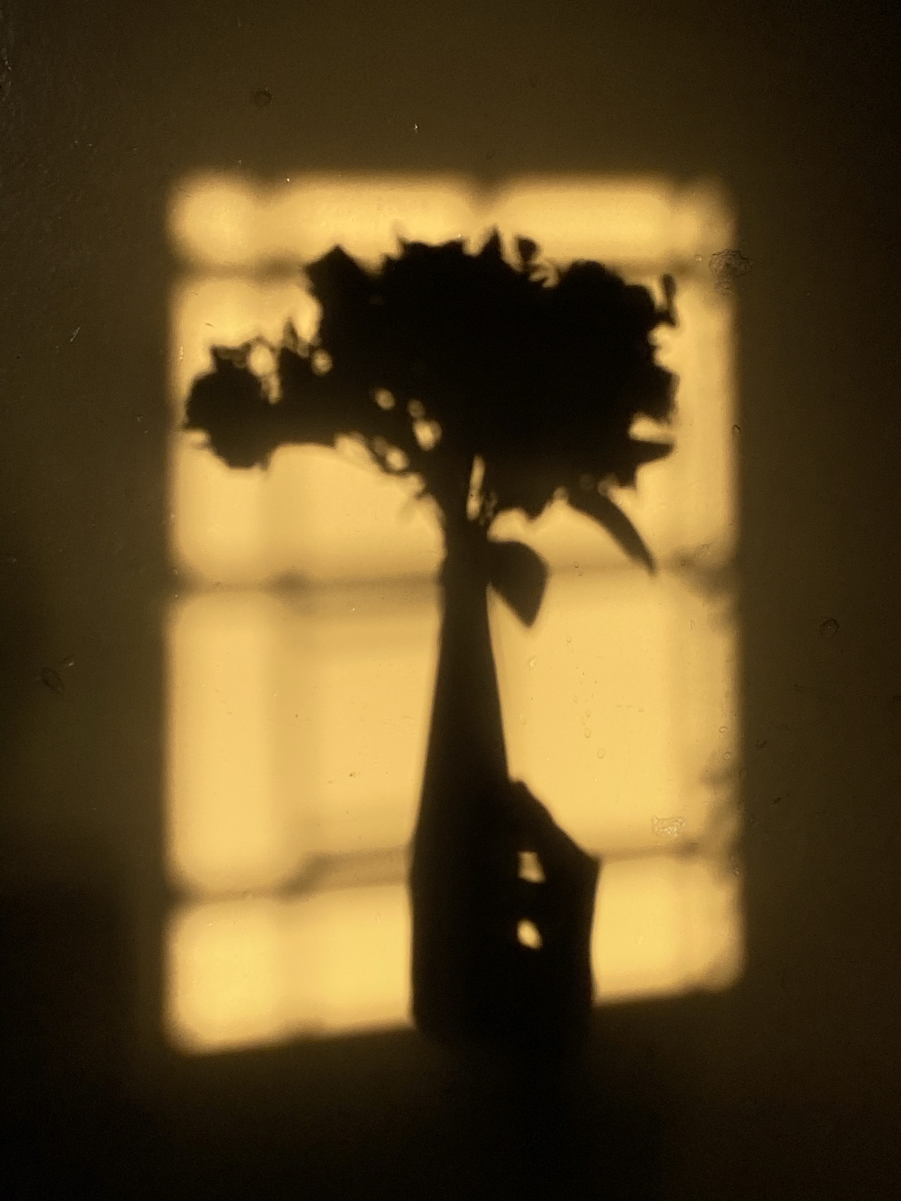 Don’t let me drown