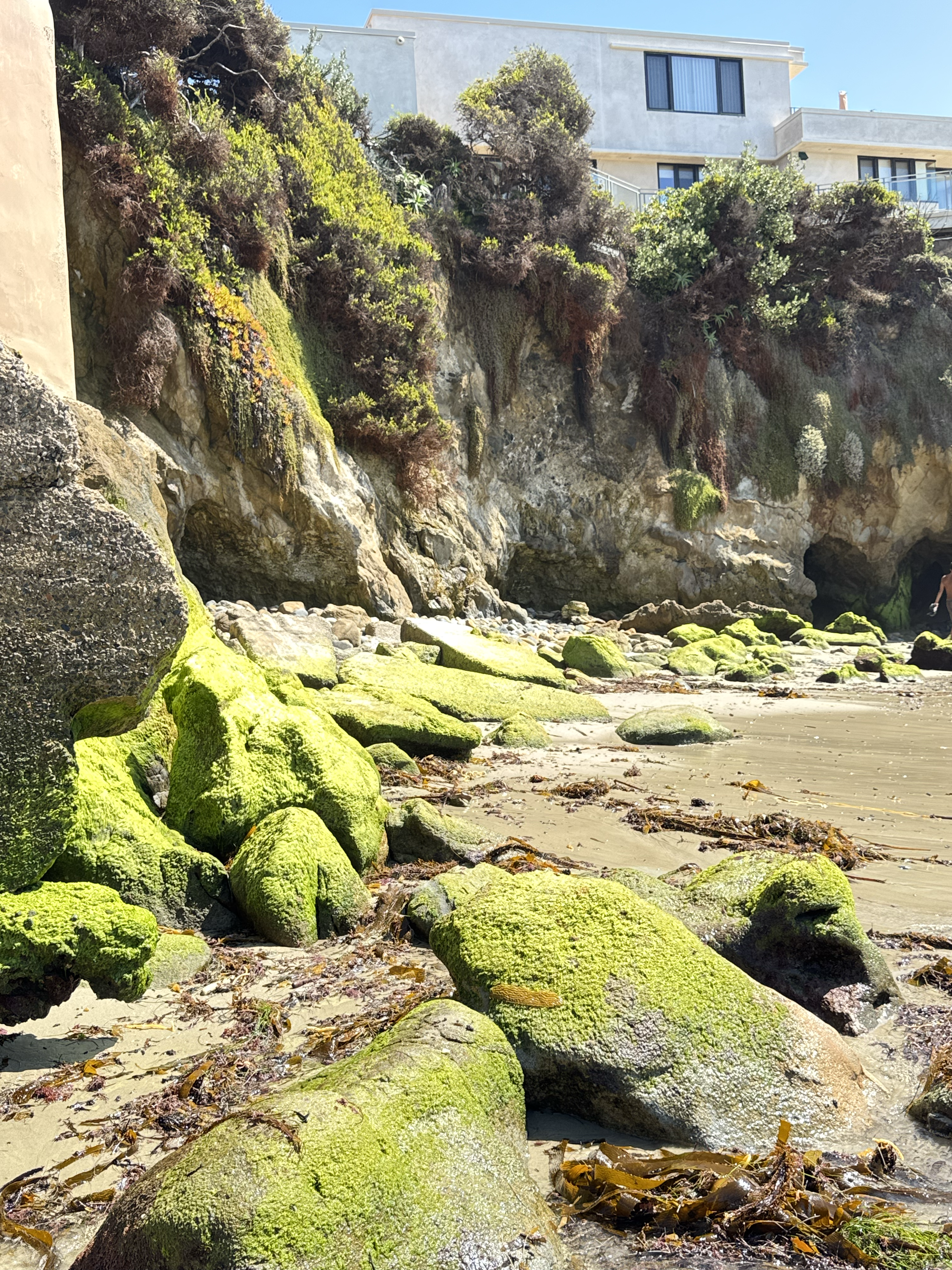 Pearl street low tide 