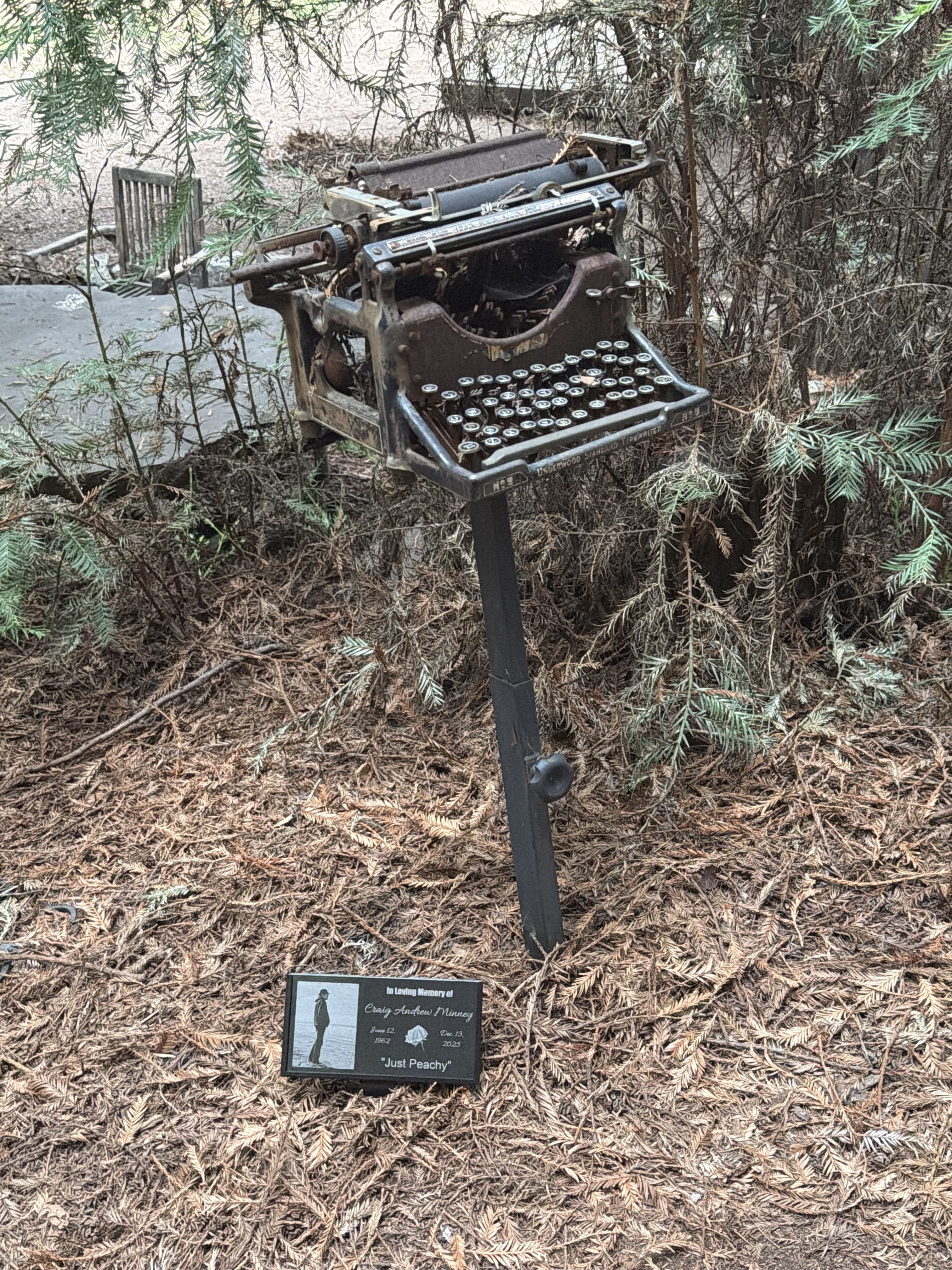 “Just Peachy” at Henry Miller Memorial Library