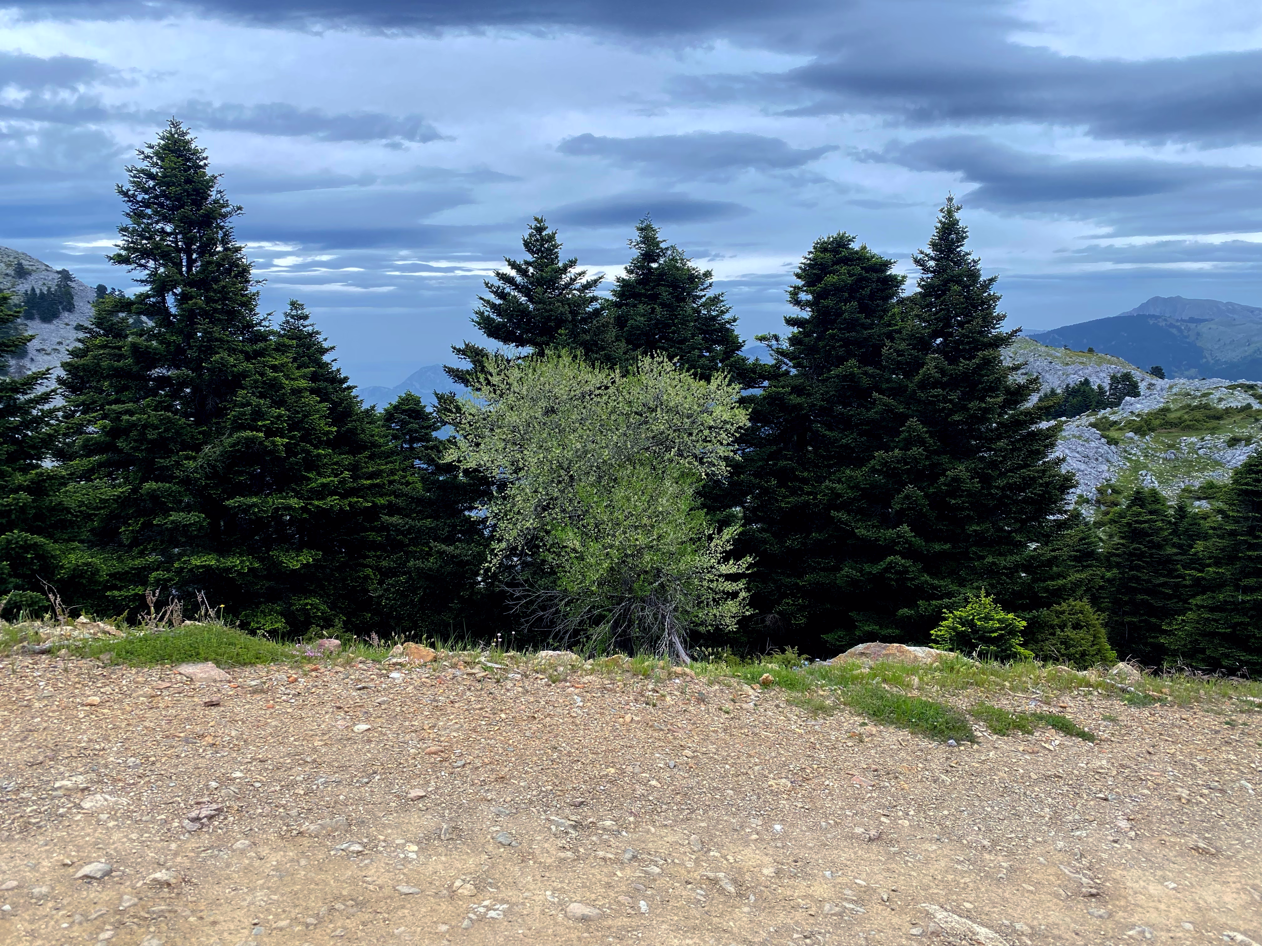 Photo 4138081