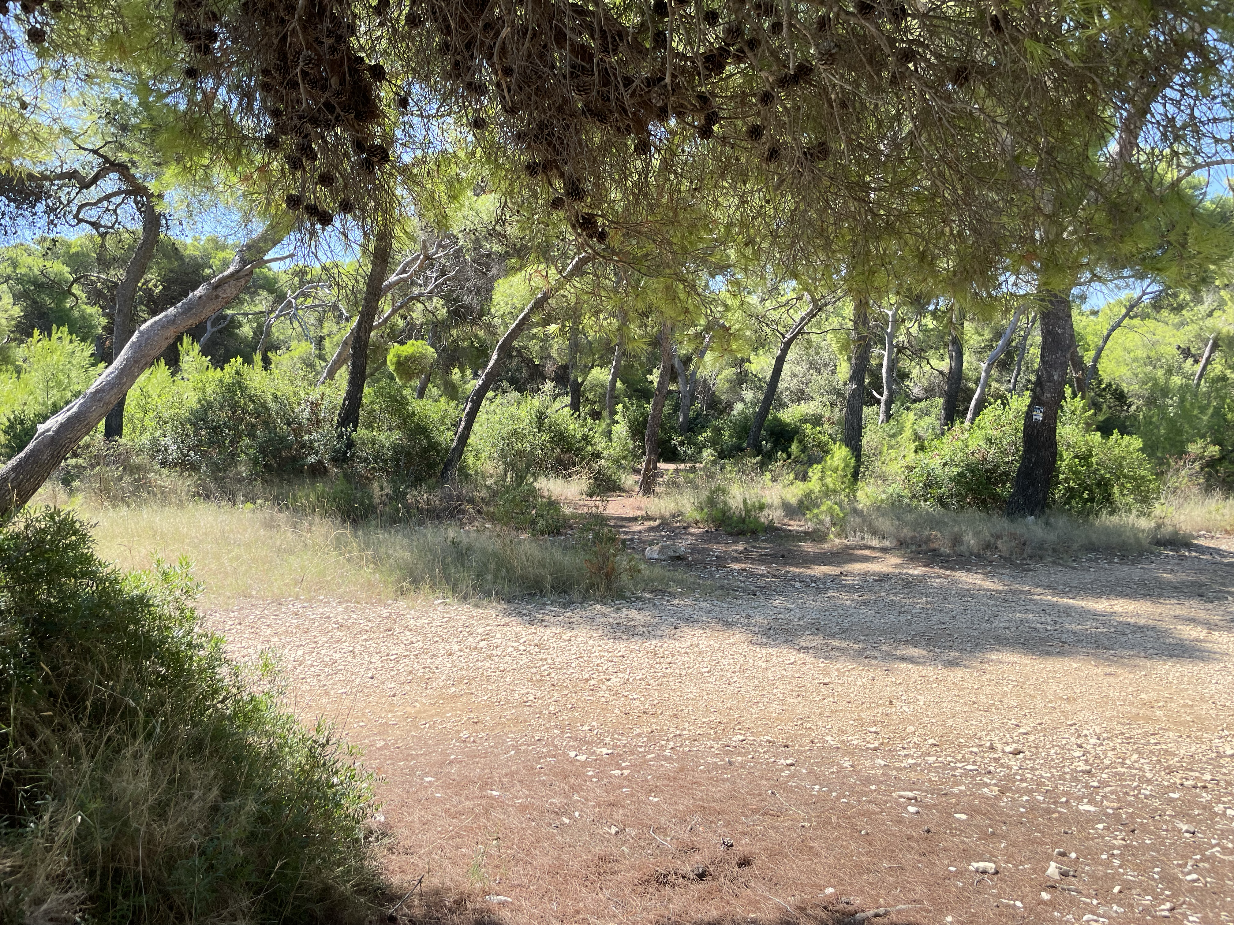 Towards Silver Beach 