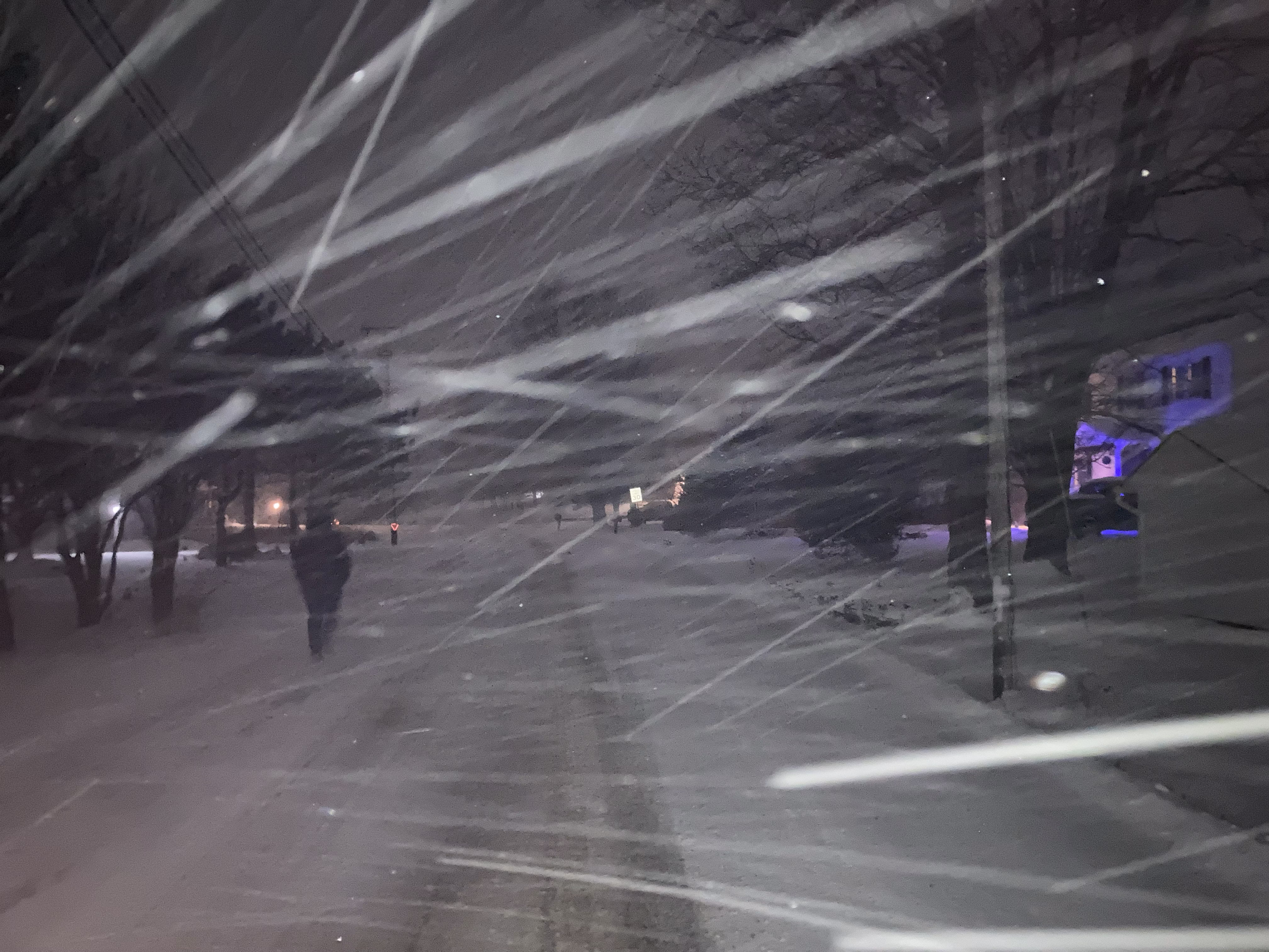 from an adventure in the snow