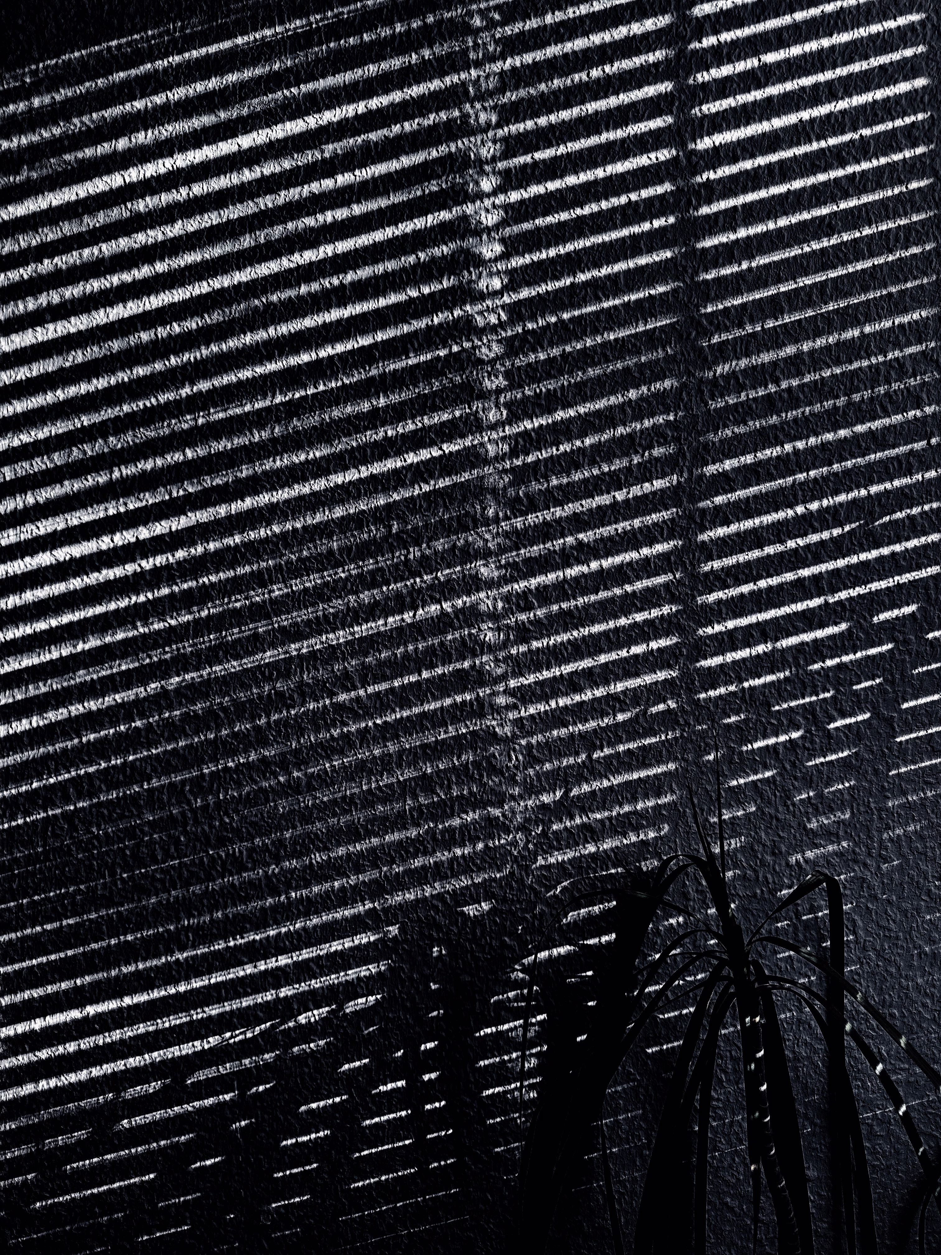 Photo 4946969