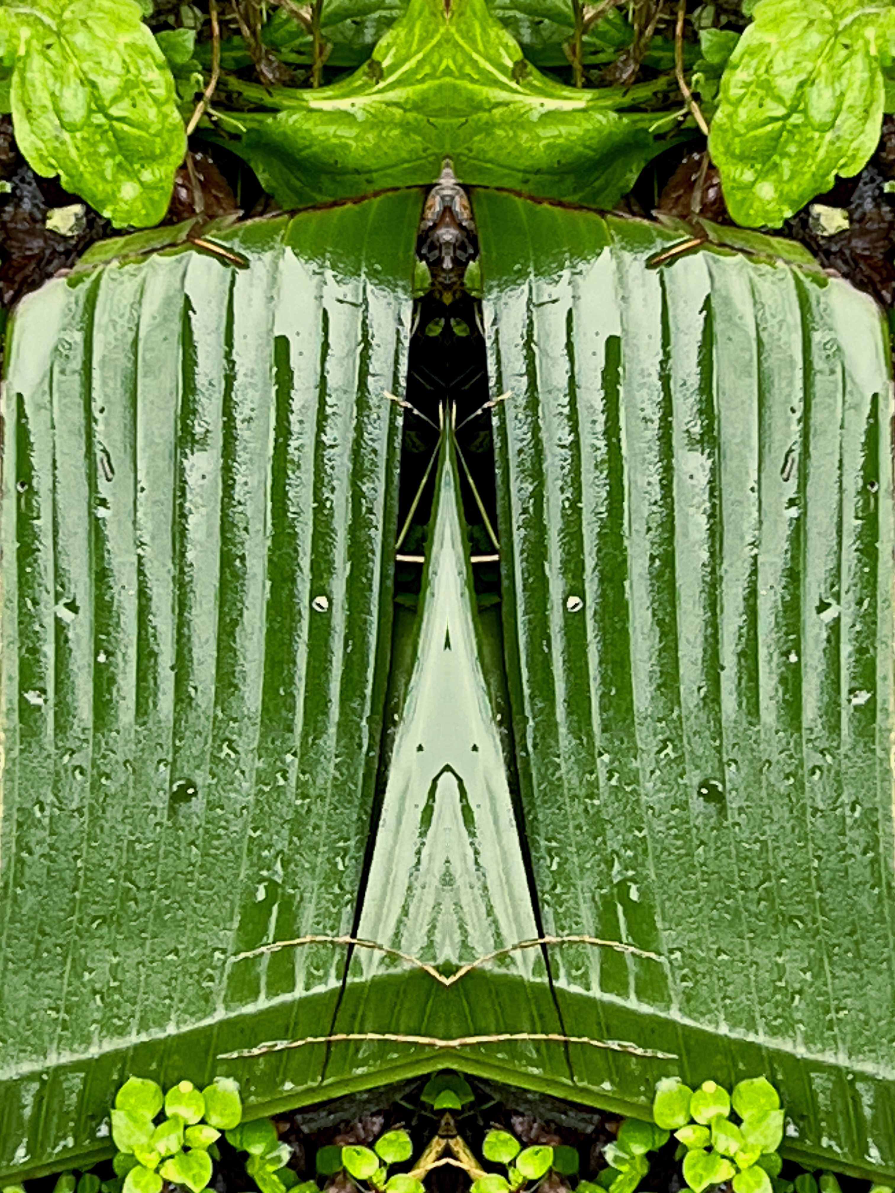 green cape 