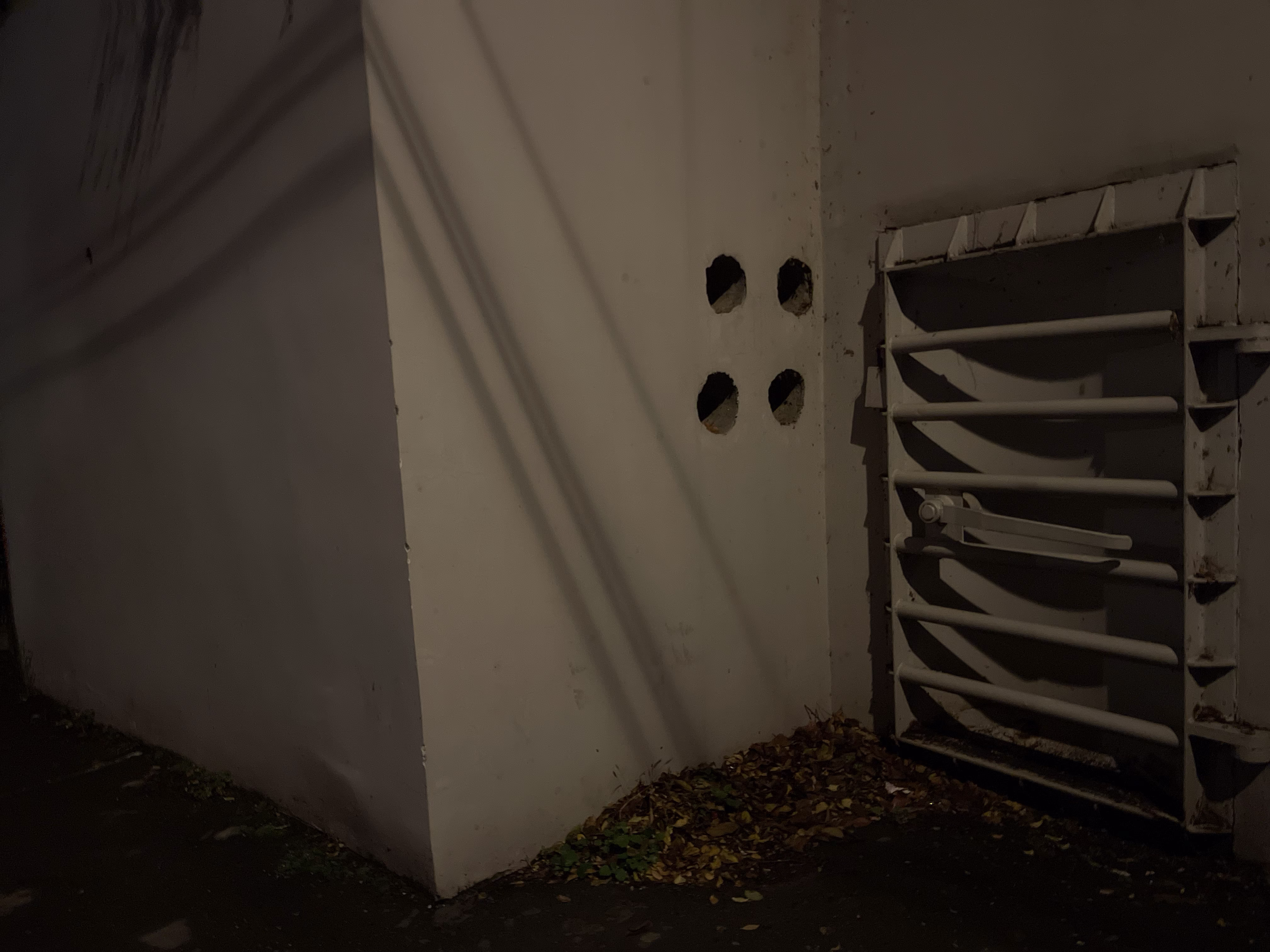 Photo 2638248