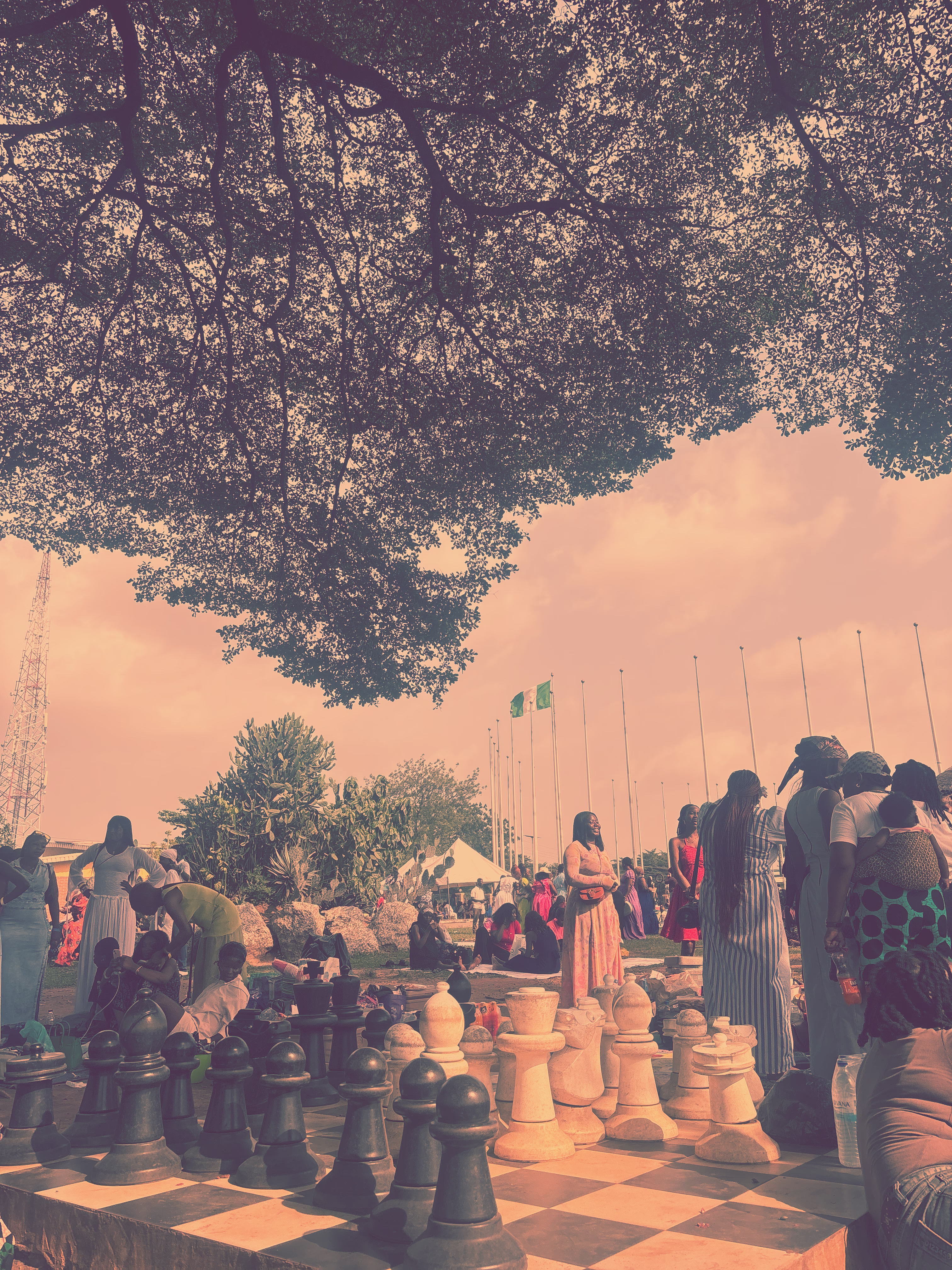 Photo 9345046