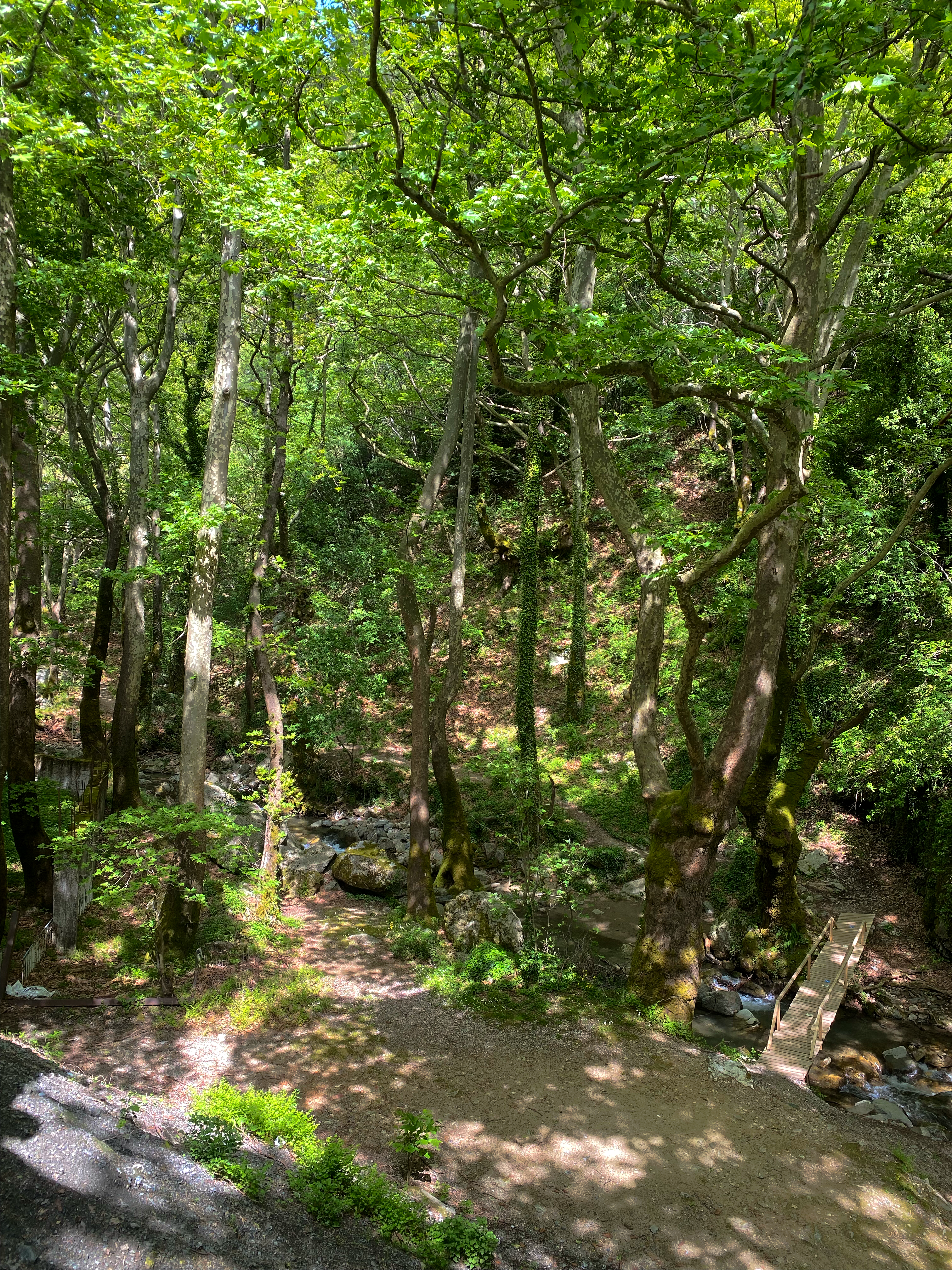 Photo 6580960