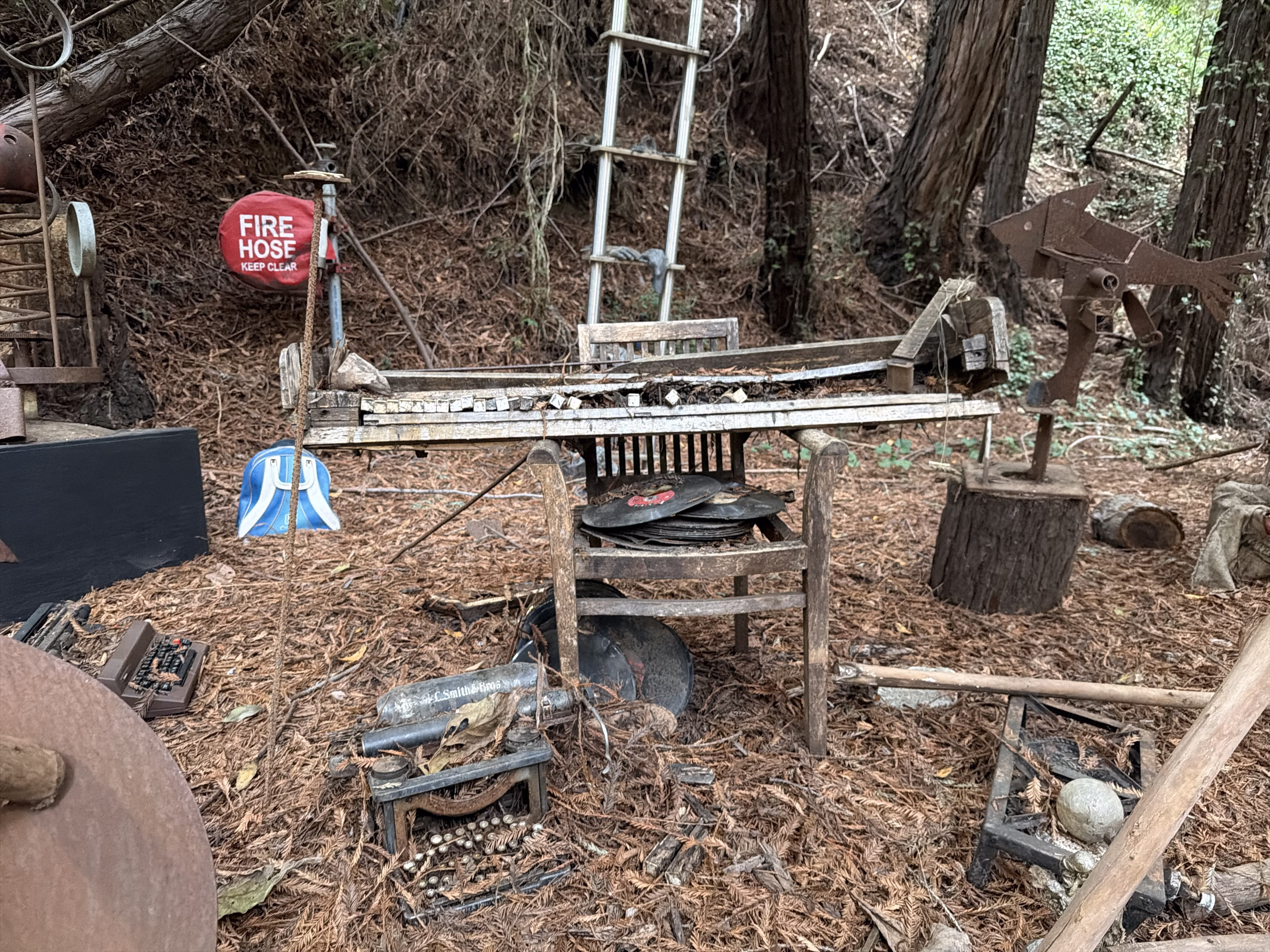 Front Yard Henry Miller Memorial Library