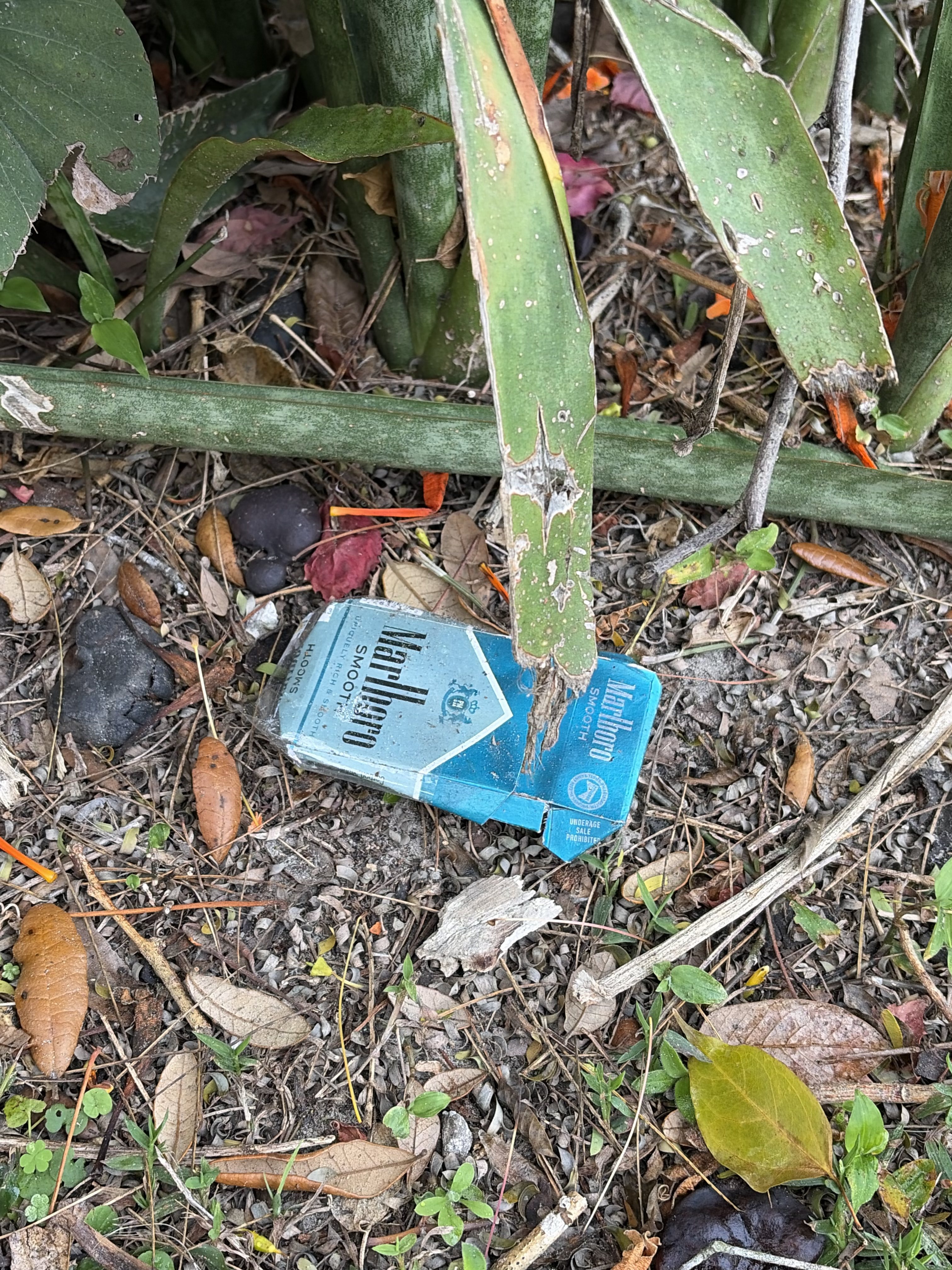 Dropped Smokes!