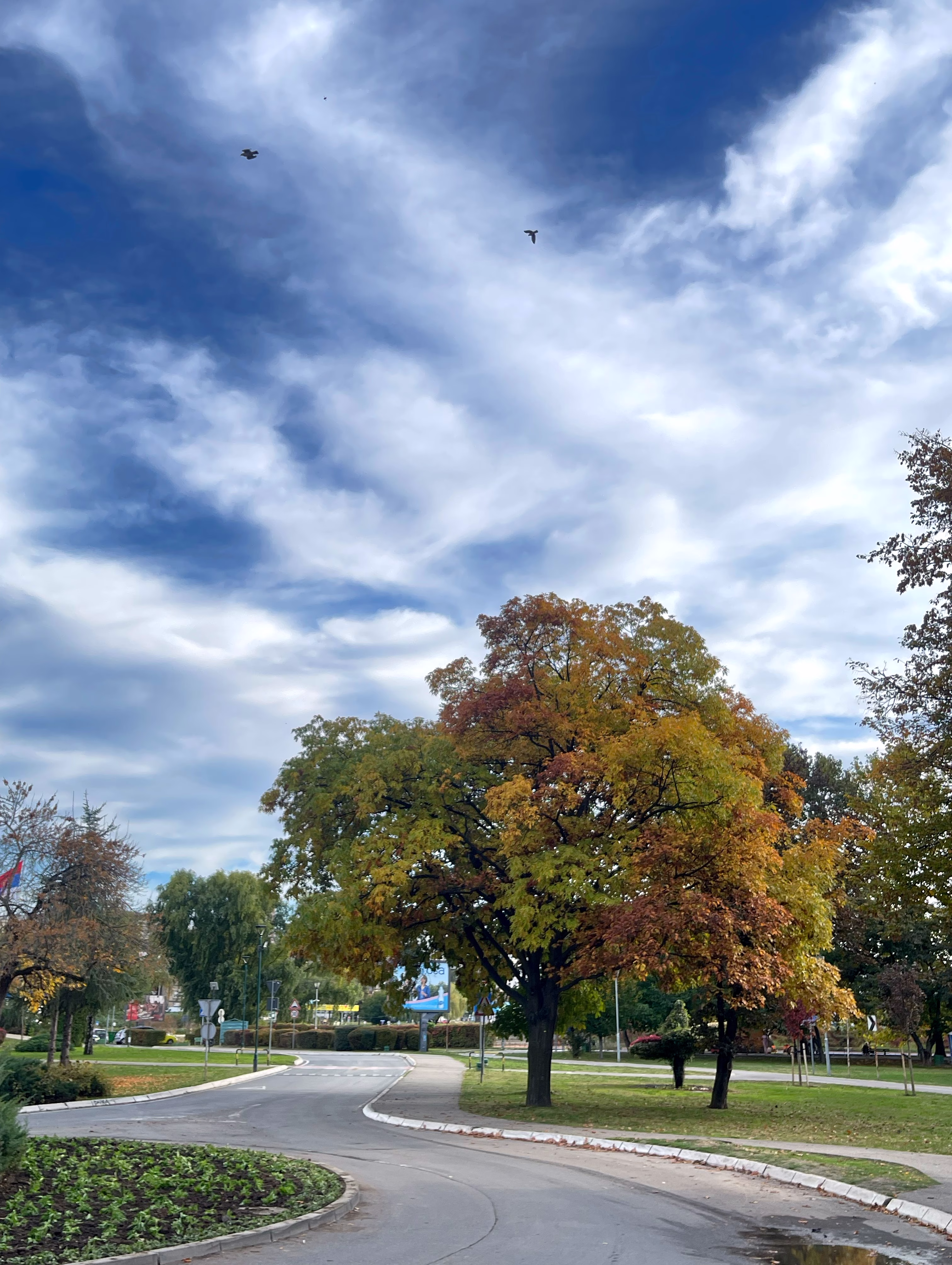 deeper into the autumn 