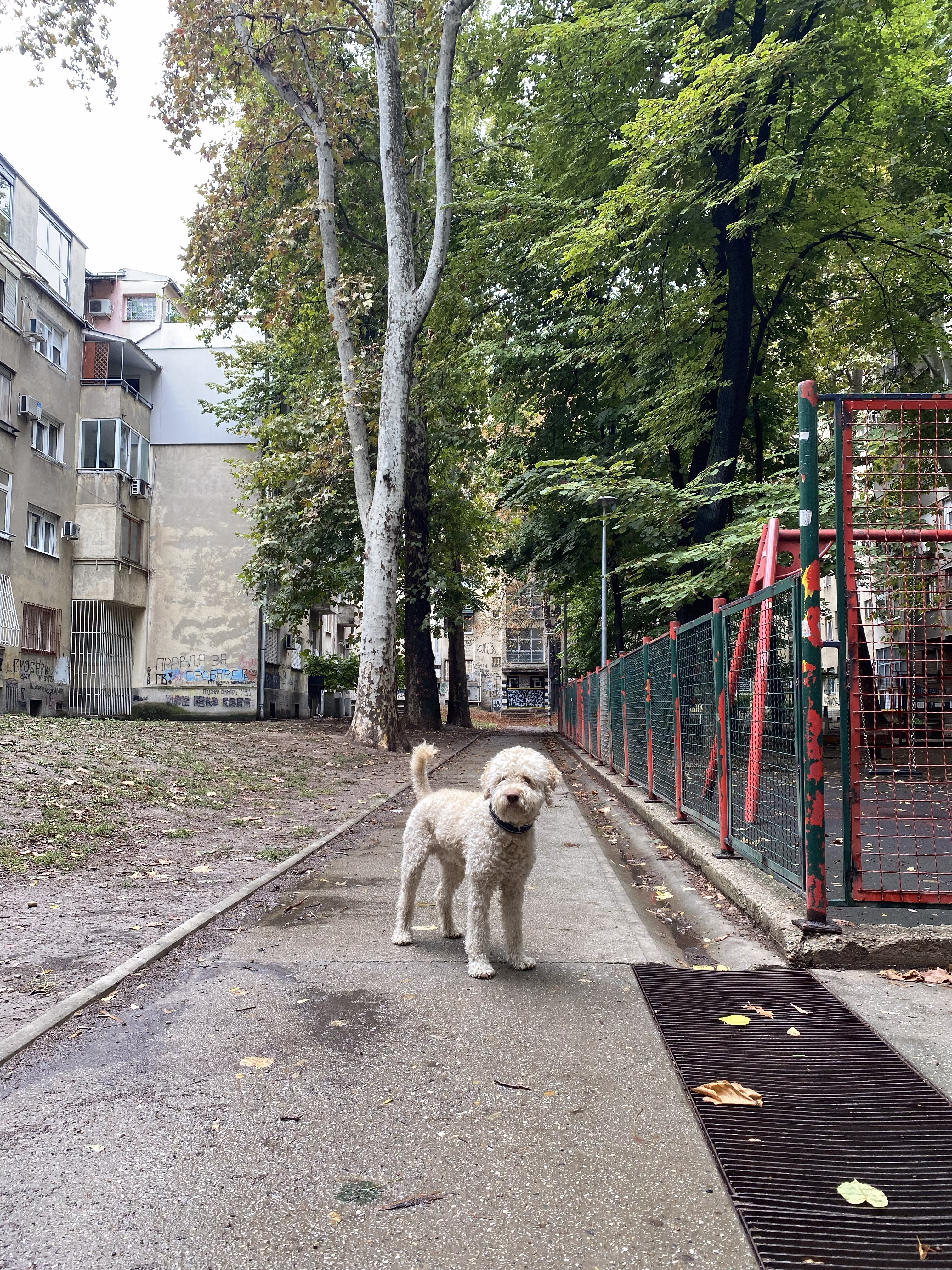 Every corner has a story. Some louder than others