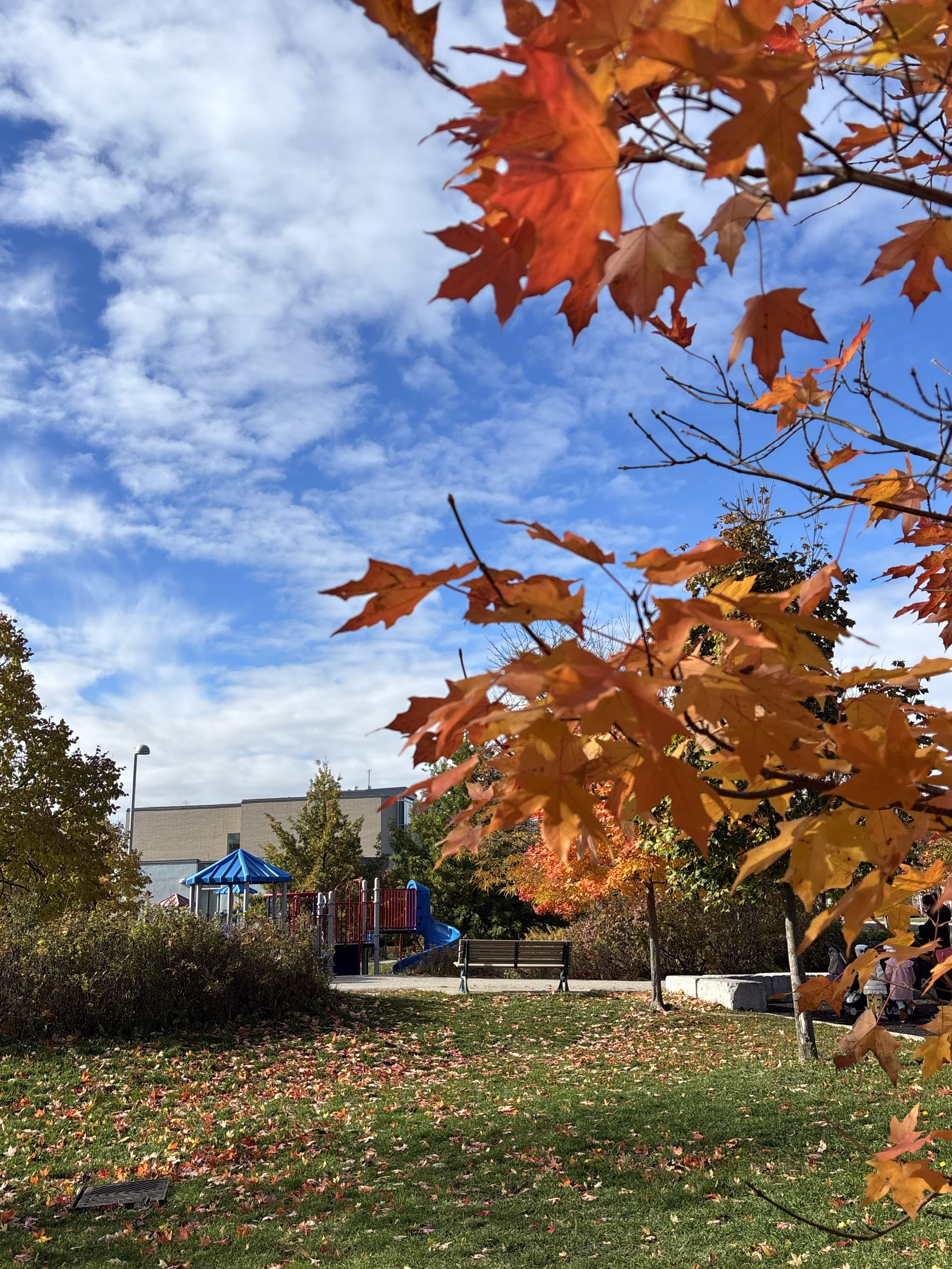 Toronto Edithvale Park