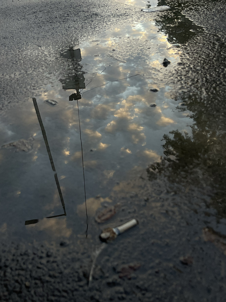 Photo 5081708